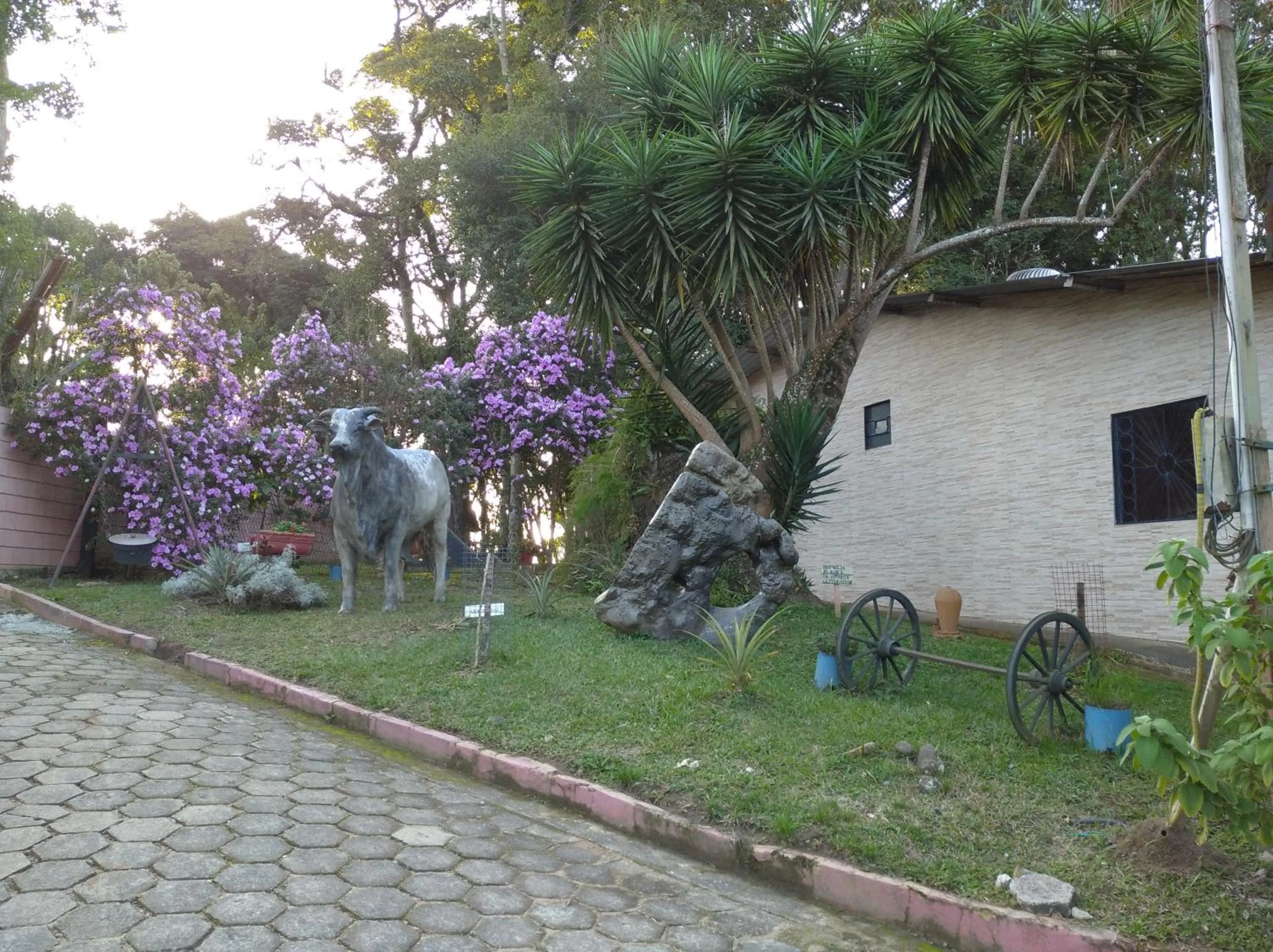 Garden view in Pousada Juriti - Eco Hotel