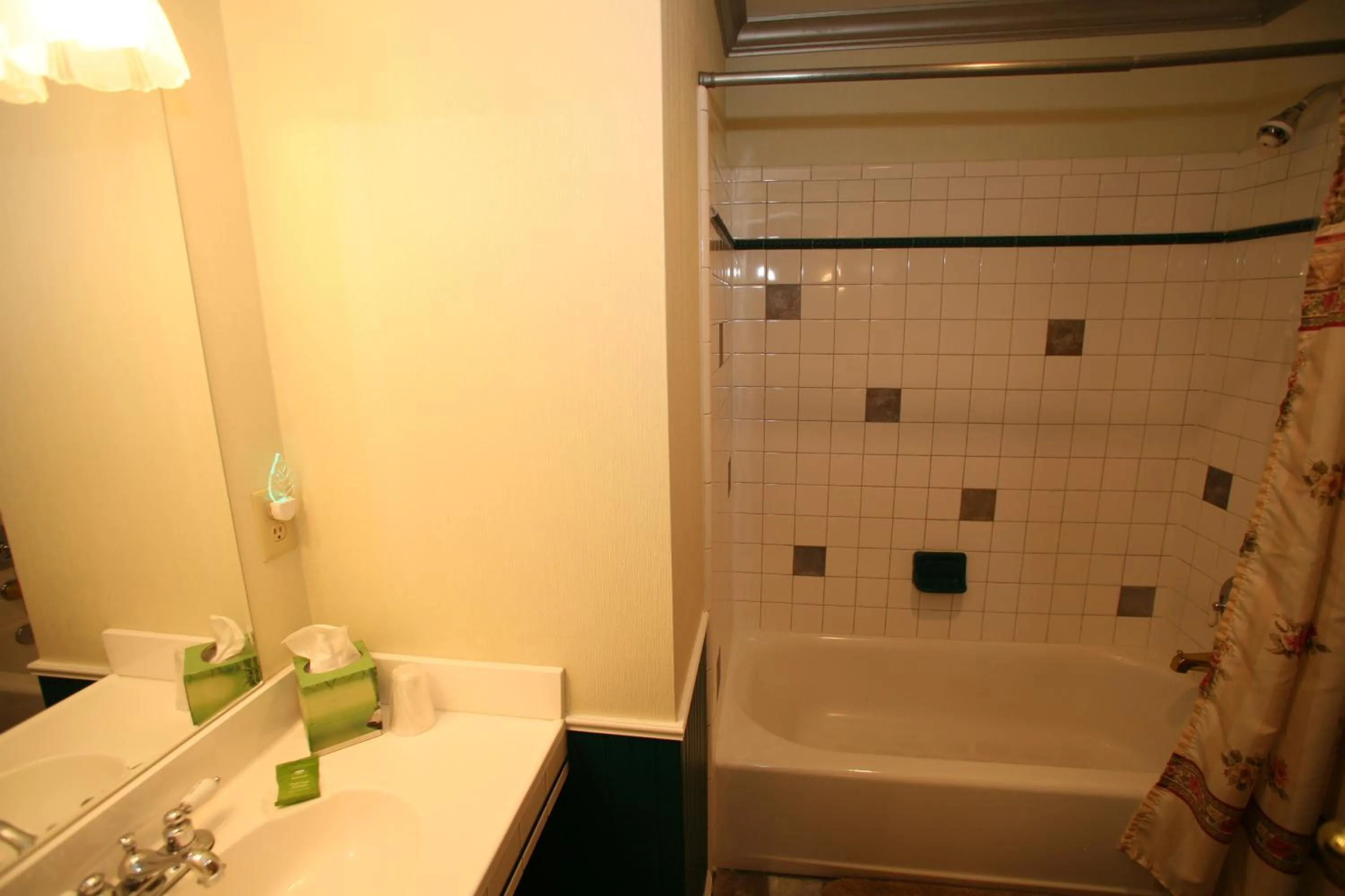 Shower in Frisco Lodge