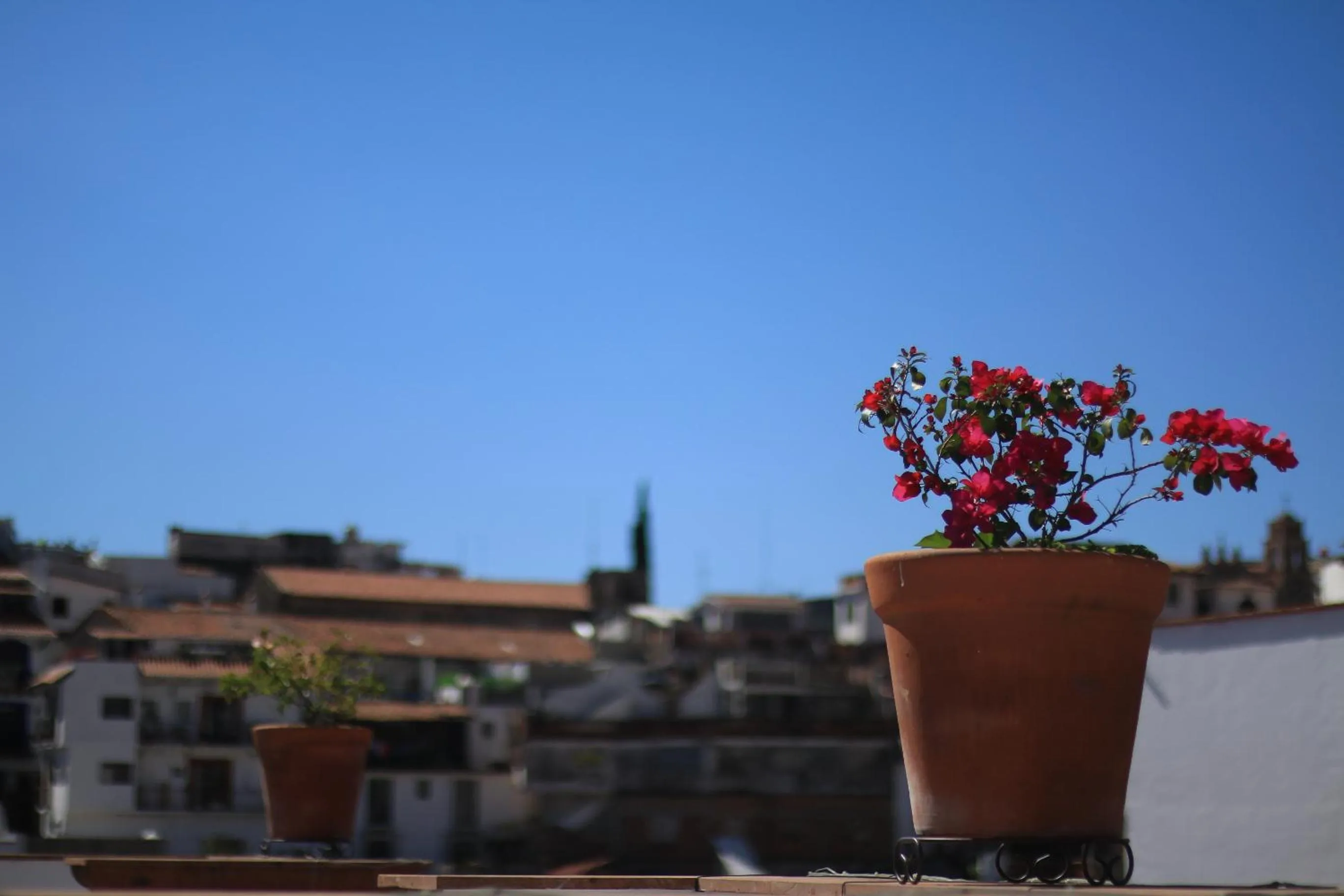City view in Hotel Santa Paula