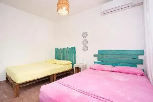 Twin Room with Shared Bathroom in Casa Cálido Hotel Twin Room with Shared Bathroom in Casa Cálido Hotel