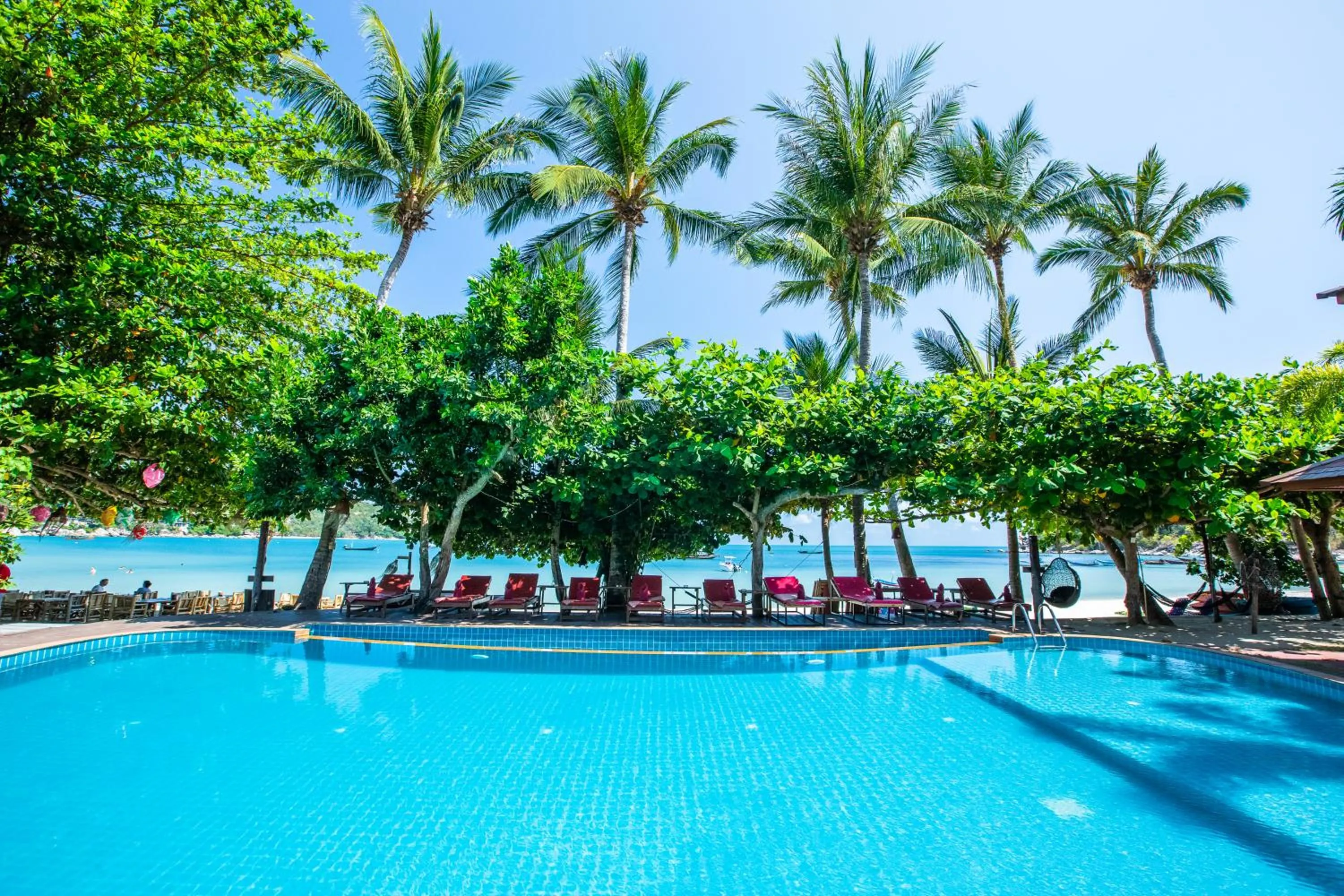 Swimming pool in Nice Beach Resort Koh Pha-ngan