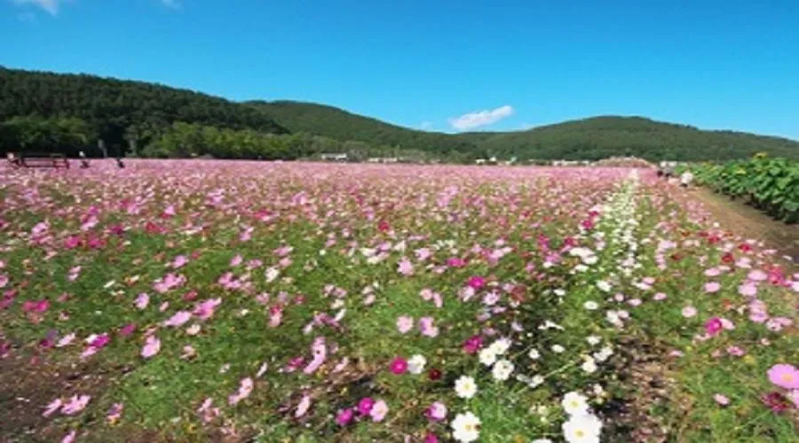 Abashiri Kanko Hotel