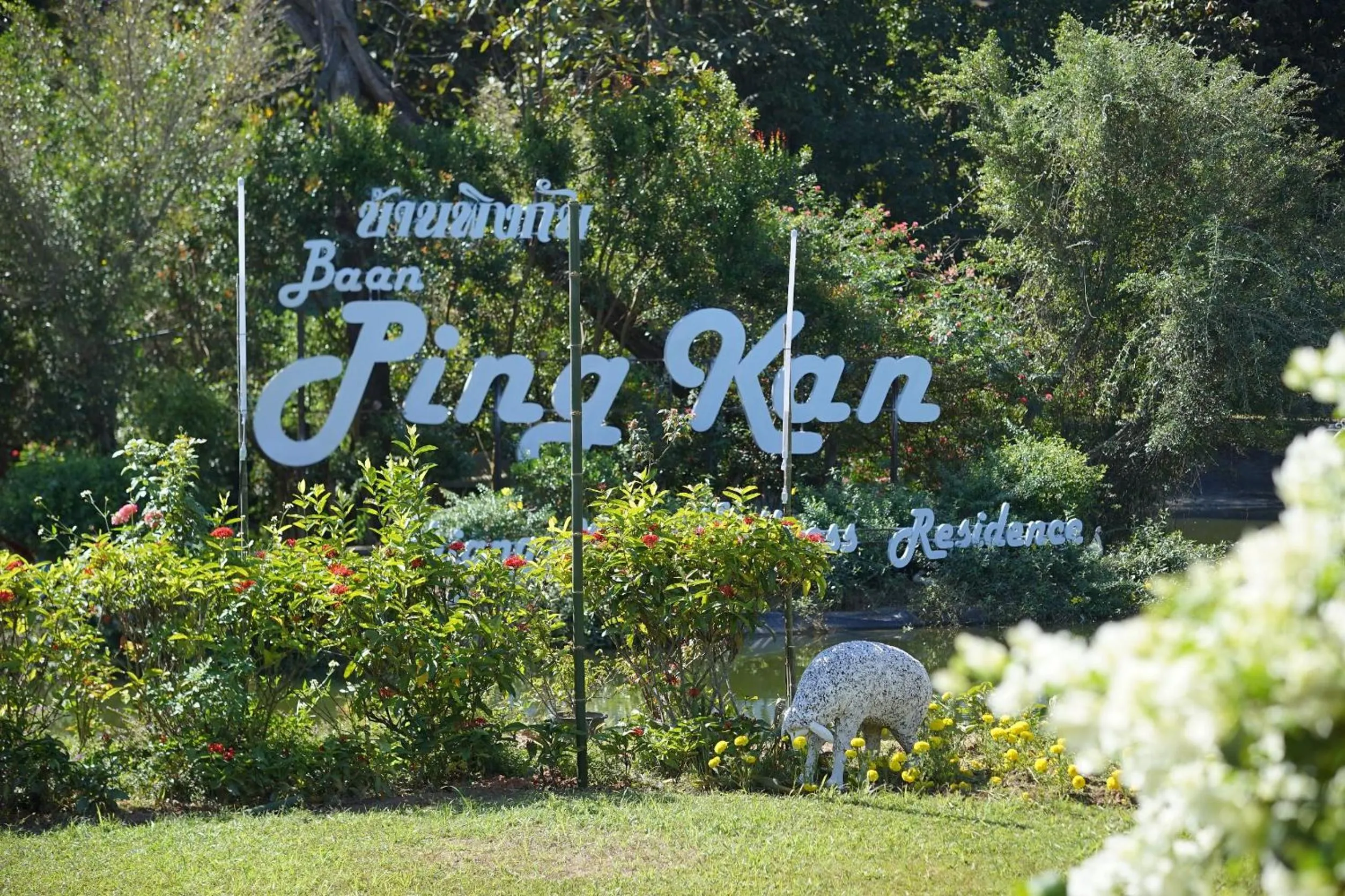 Natural landscape in Baan Ping Kan Longstay