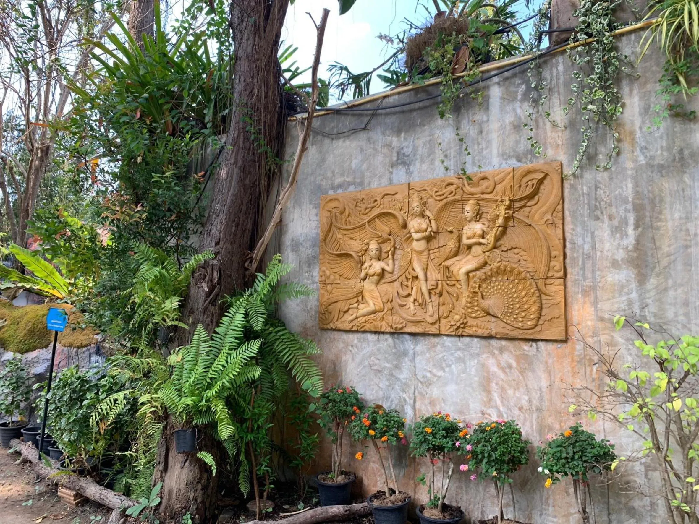 Natural landscape in Baan Ping Kan Longstay