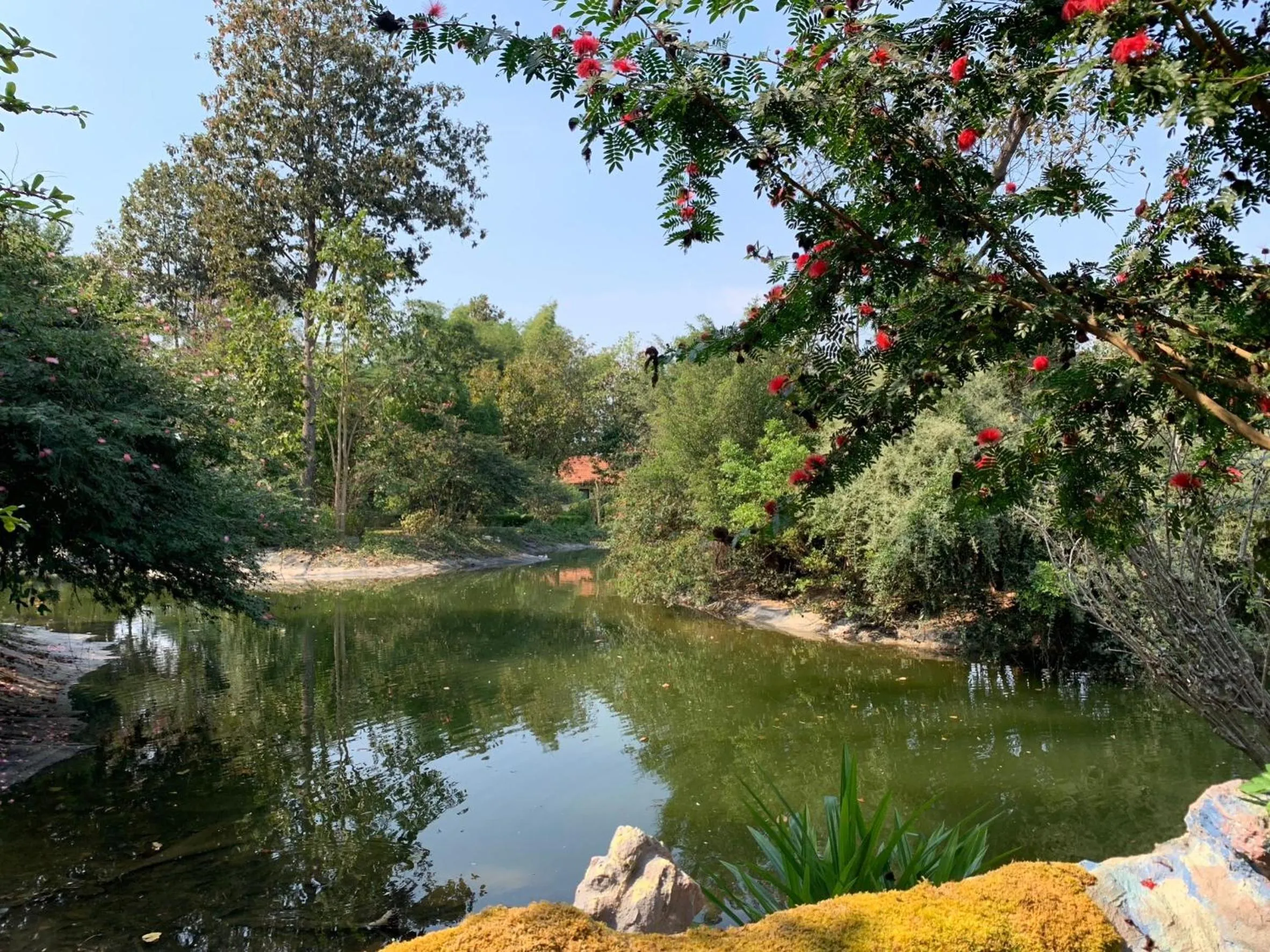 Natural landscape in Baan Ping Kan Longstay