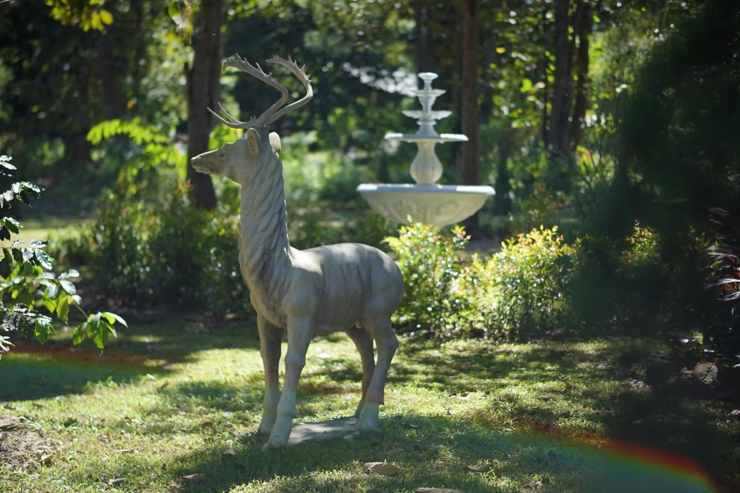 Natural landscape in Baan Ping Kan Longstay