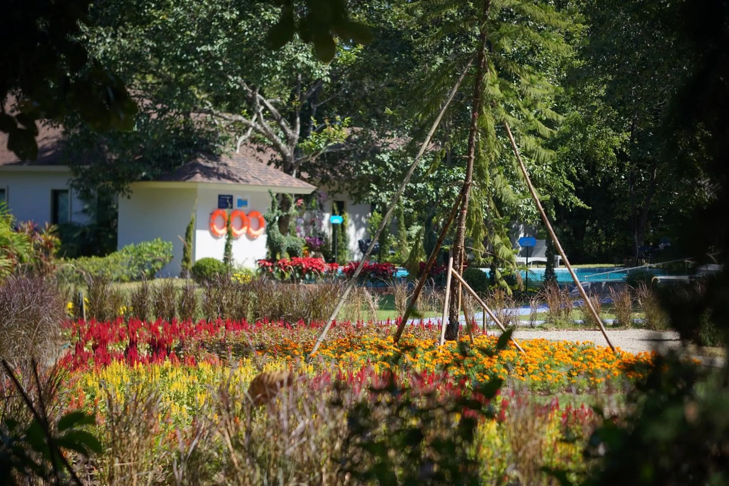 Natural landscape in Baan Ping Kan Longstay