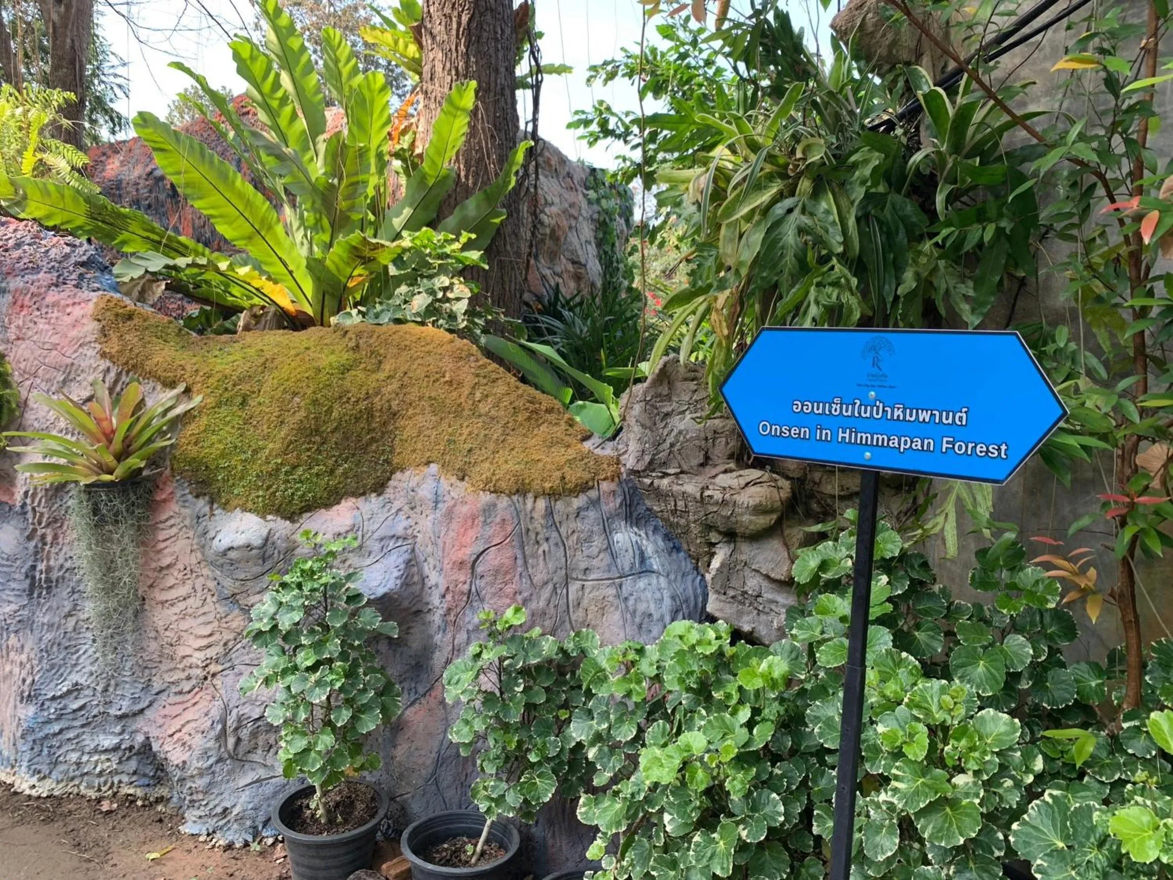 Garden in Baan Ping Kan Longstay