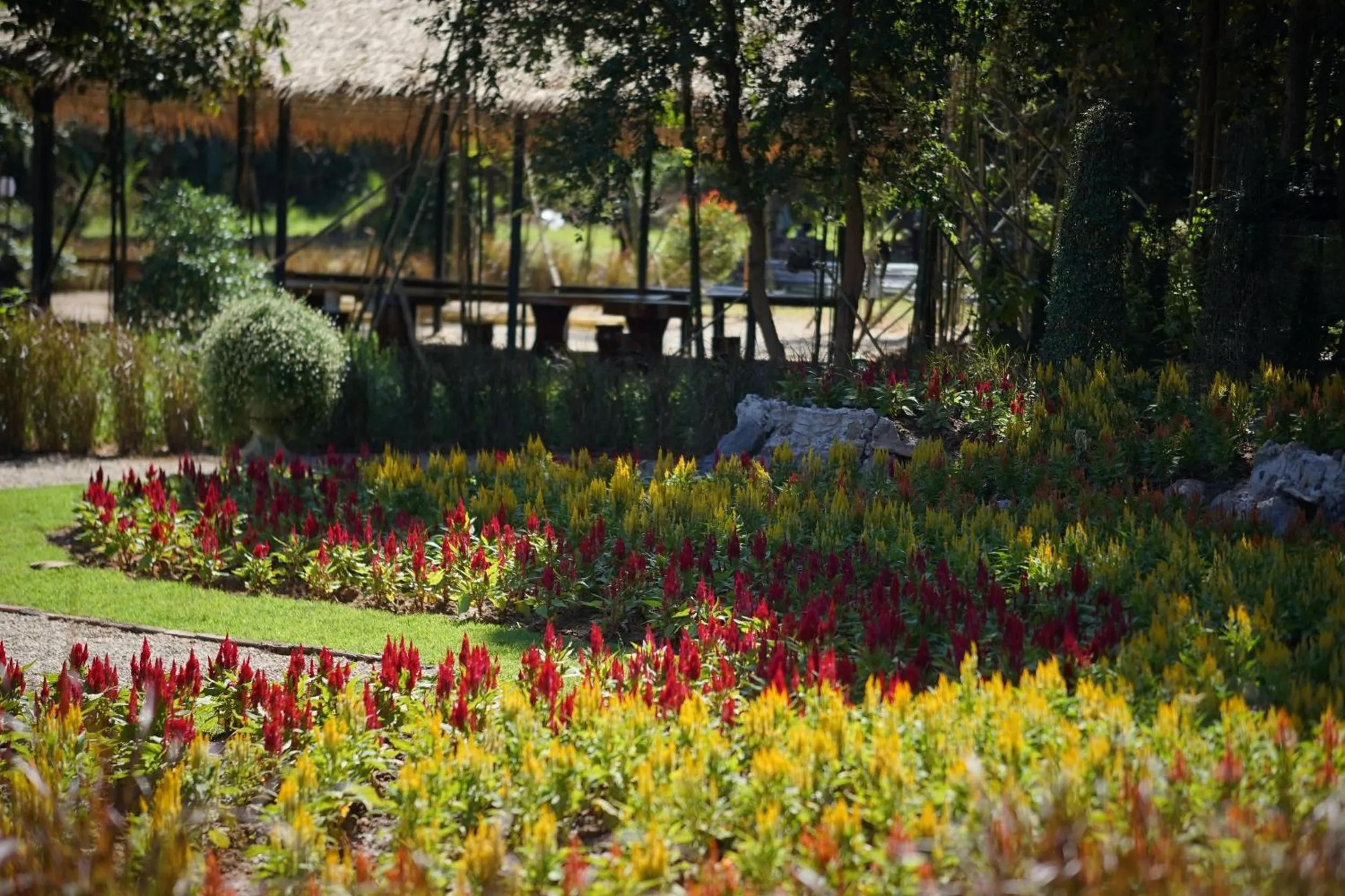 Garden in Baan Ping Kan Longstay