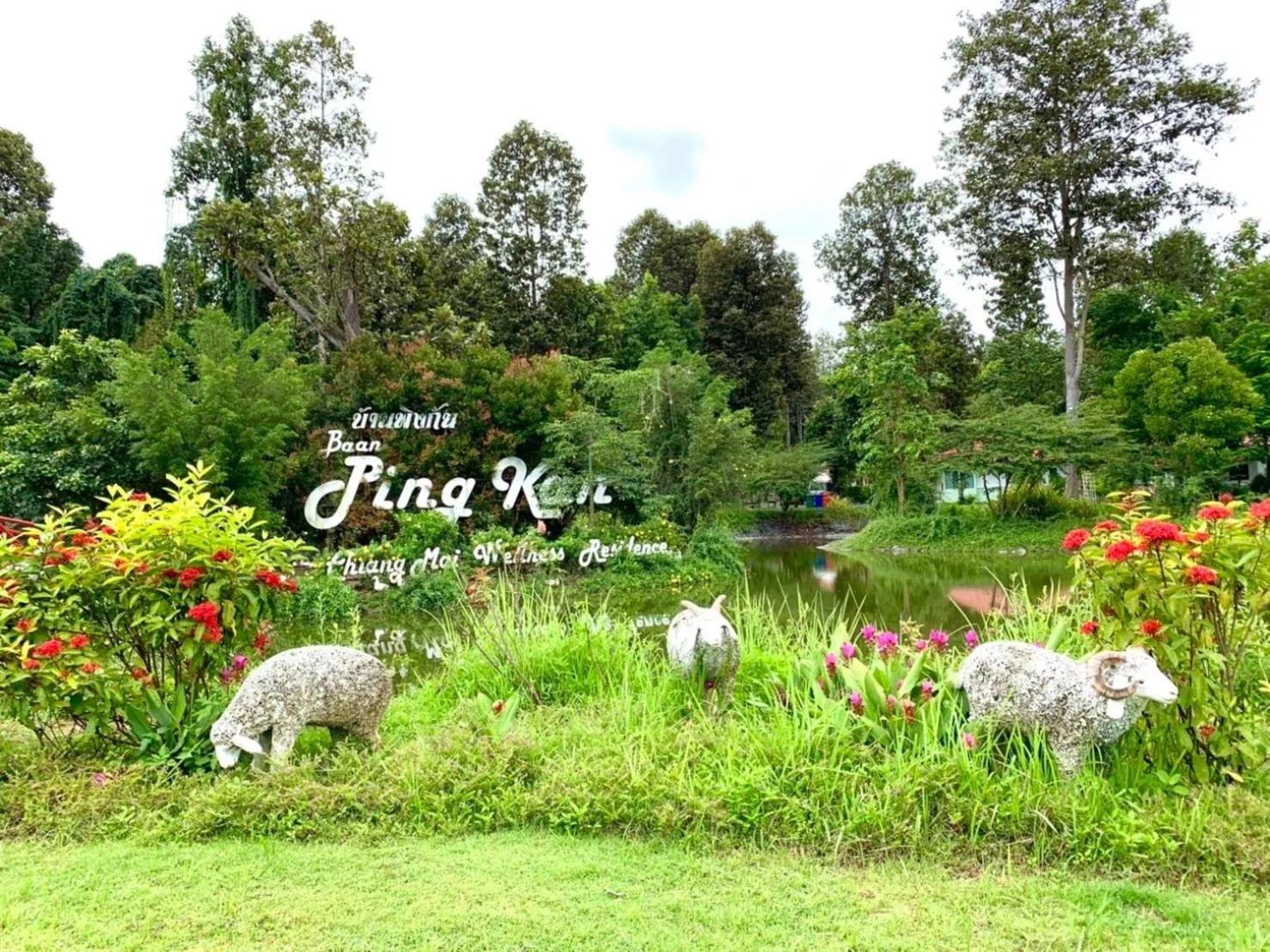Natural landscape in Baan Ping Kan Longstay