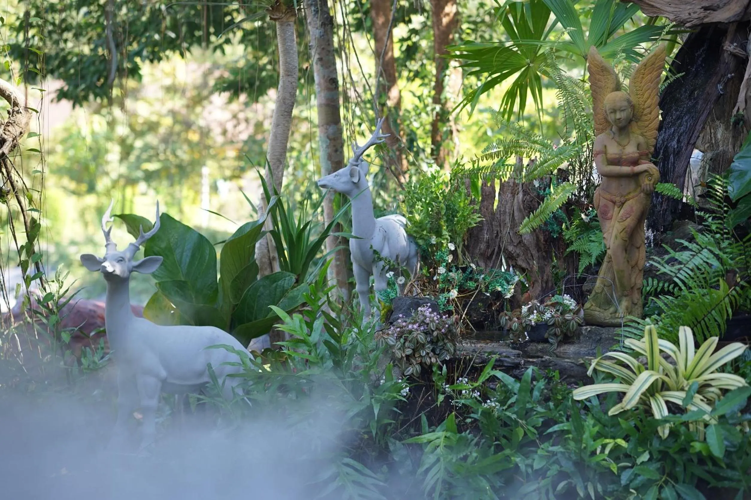 Natural landscape in Baan Ping Kan Longstay