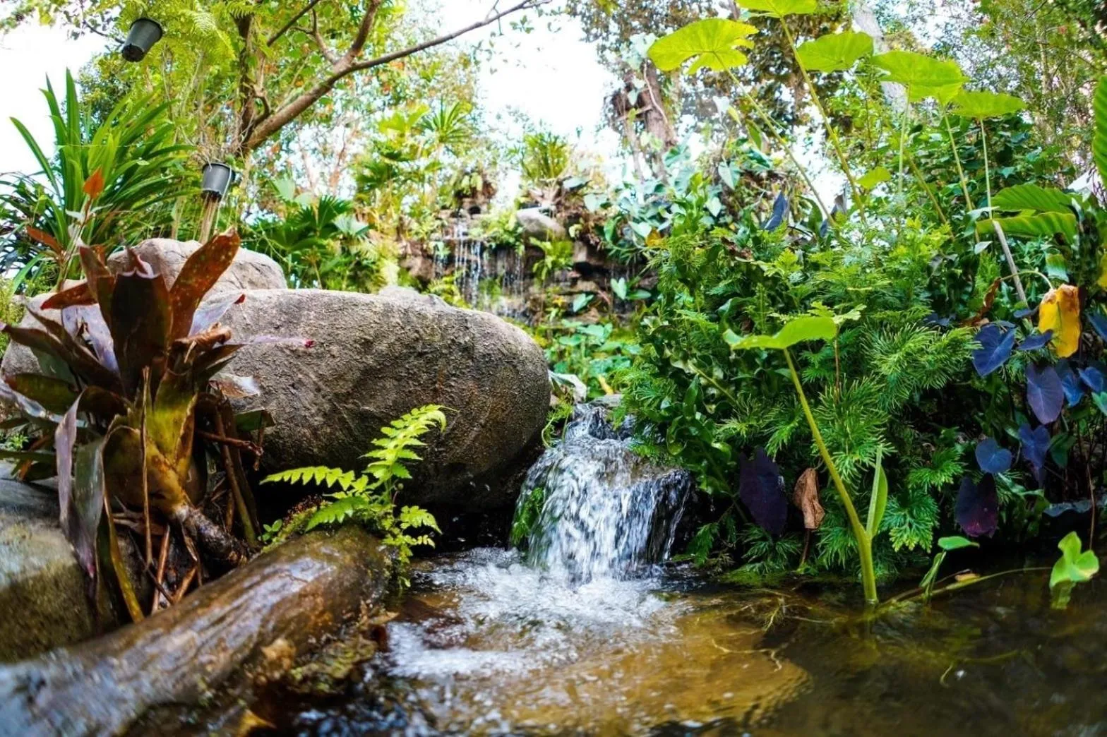 Natural landscape in Baan Ping Kan Longstay