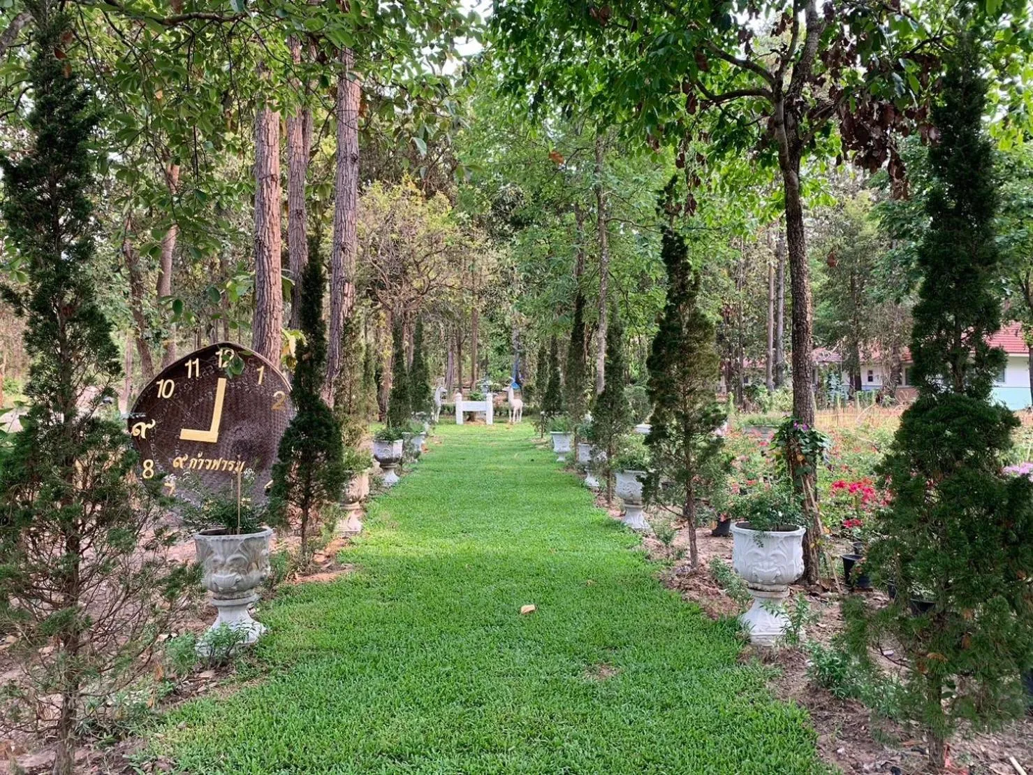Natural landscape in Baan Ping Kan Longstay