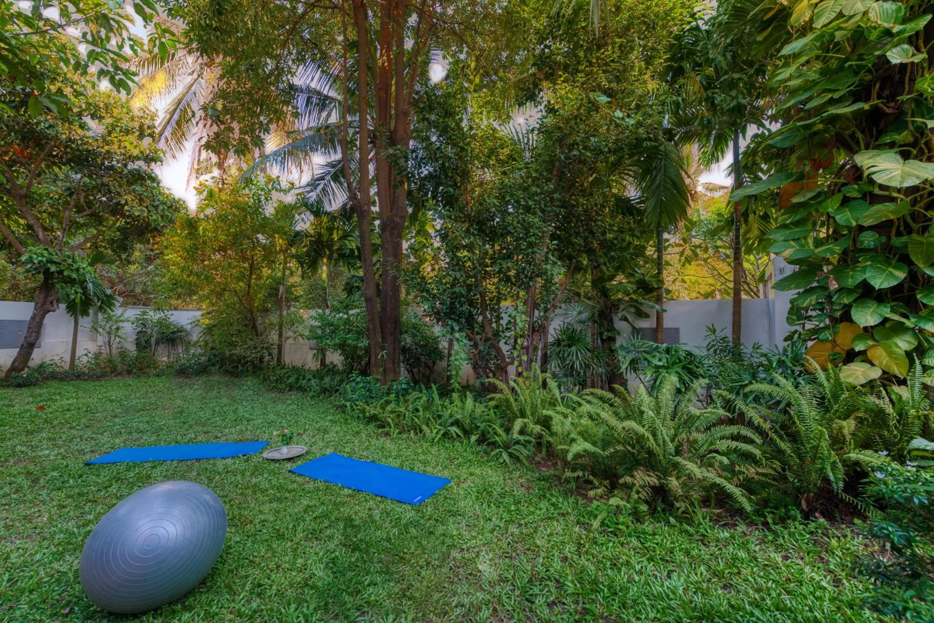 Fitness centre/facilities in Mane History Lovers