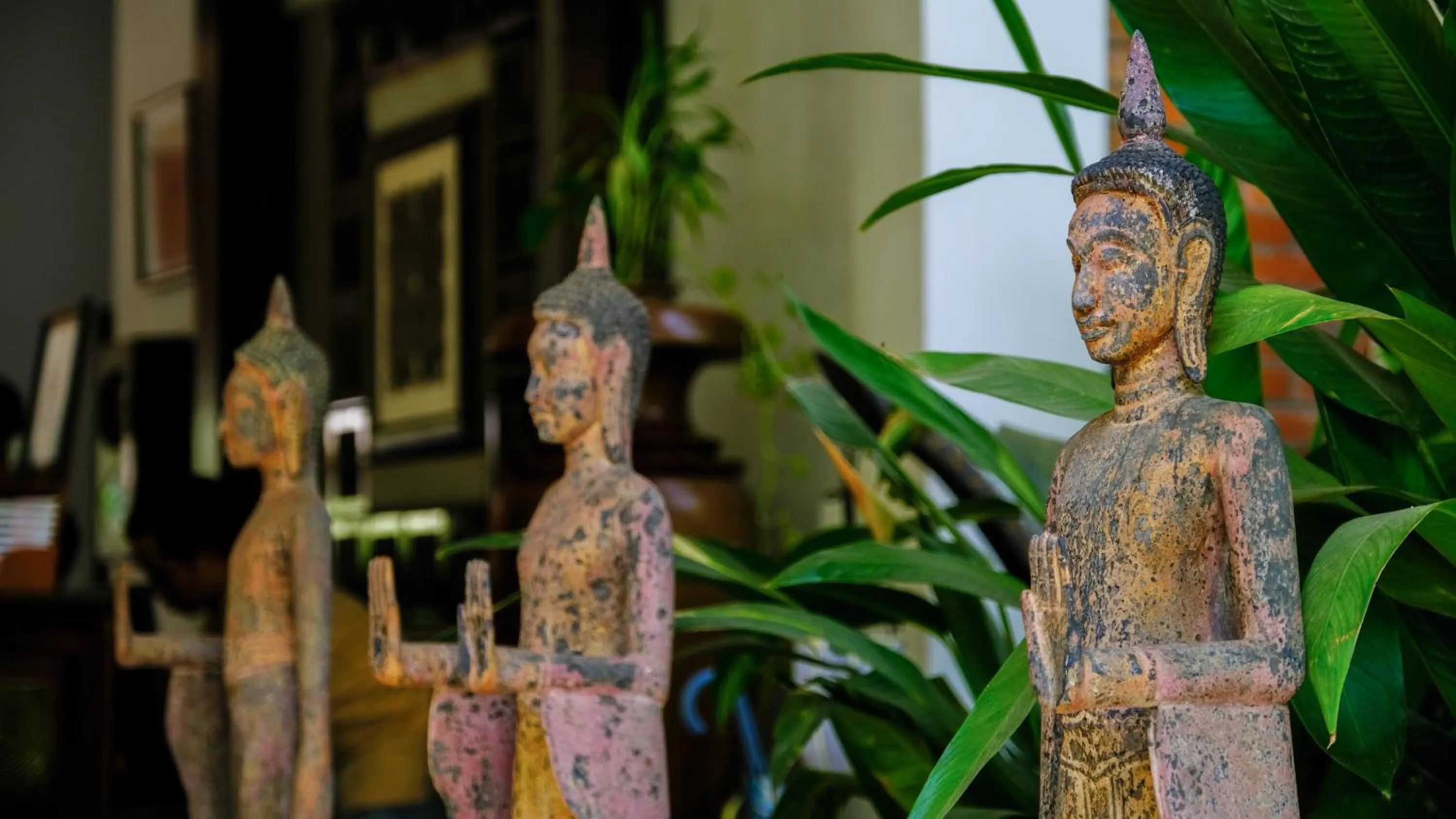 Facade/entrance in Mane History Lovers