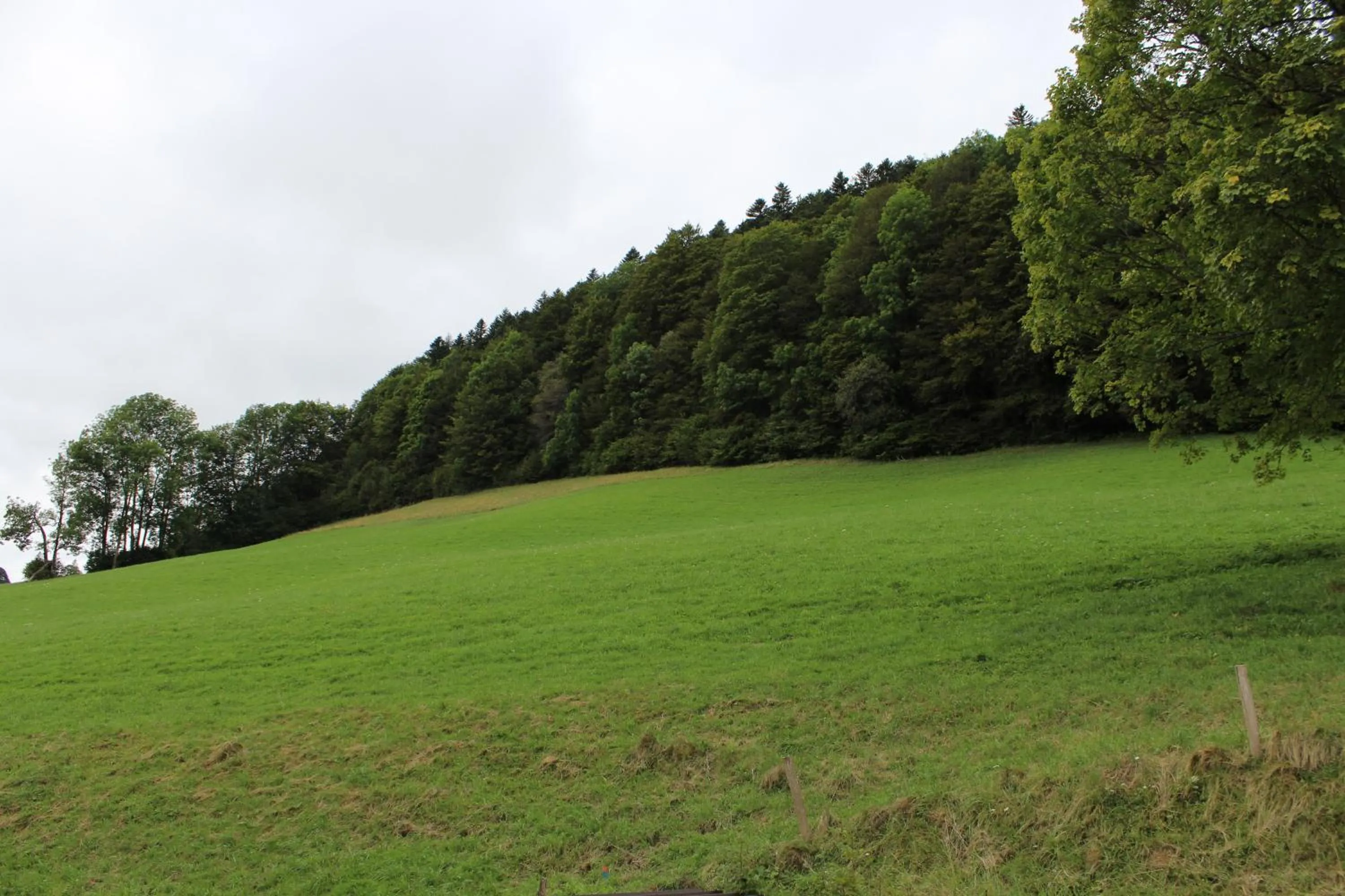 View (from property/room) in Bonne Auberge Les Bugnenets