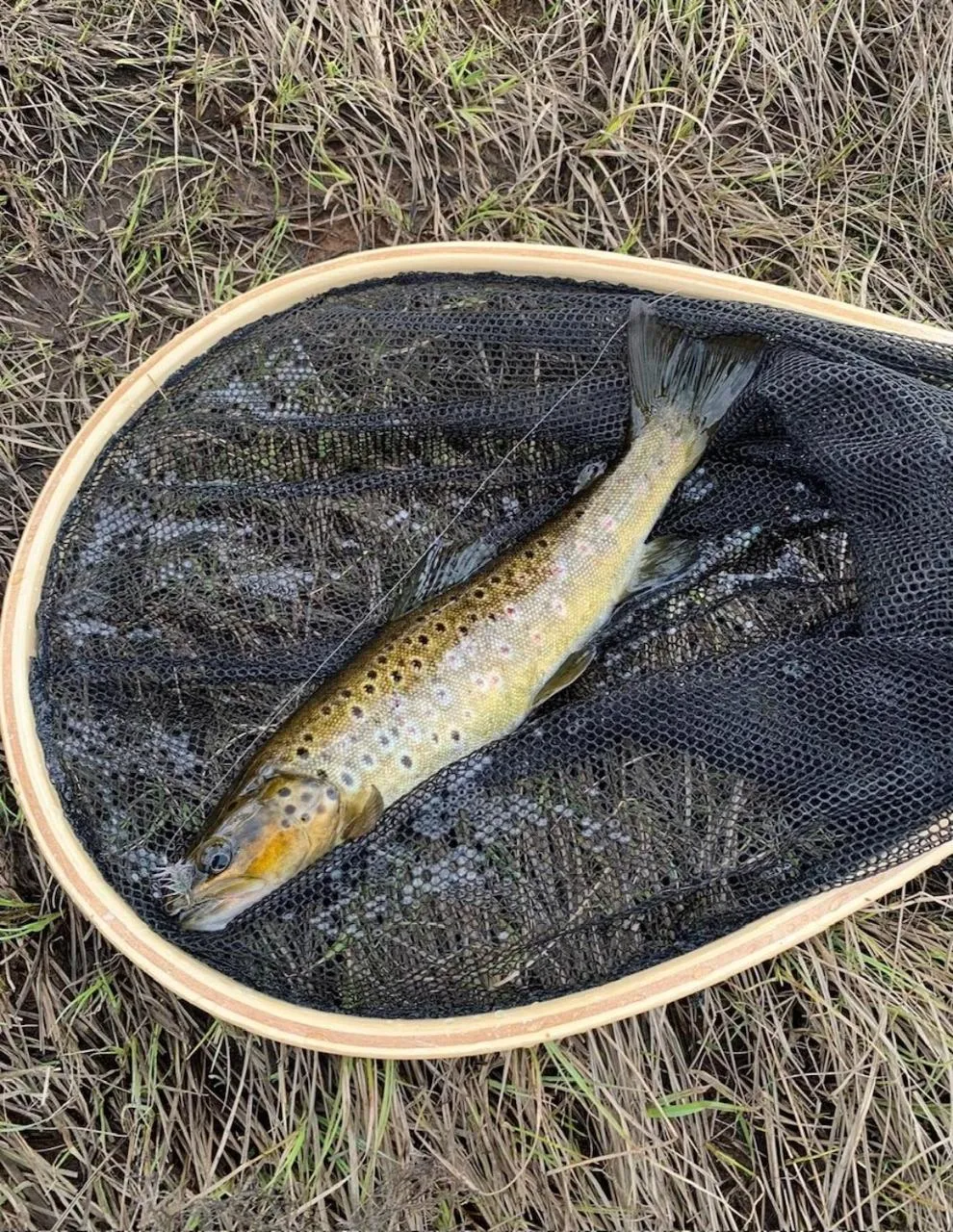 Fishing in Mountain Lodge