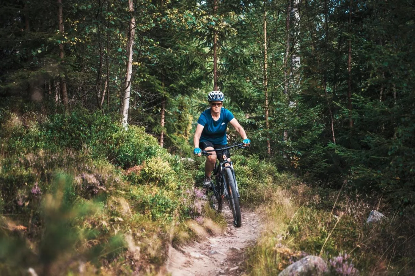 Cycling in Mountain Lodge