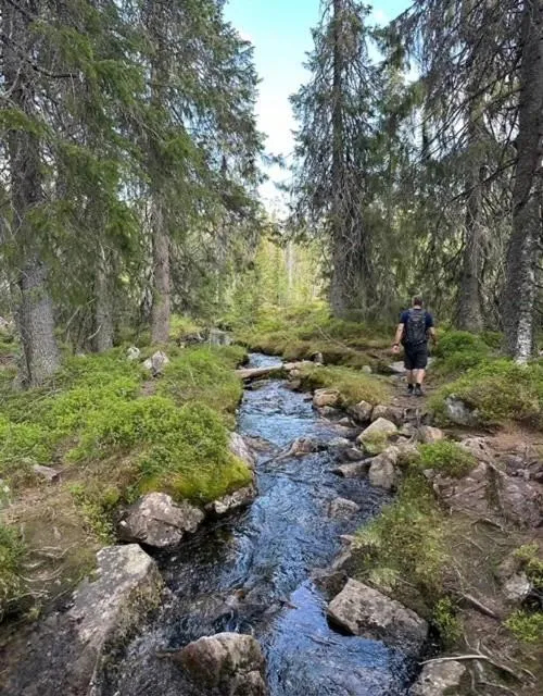 Hiking in Mountain Lodge
