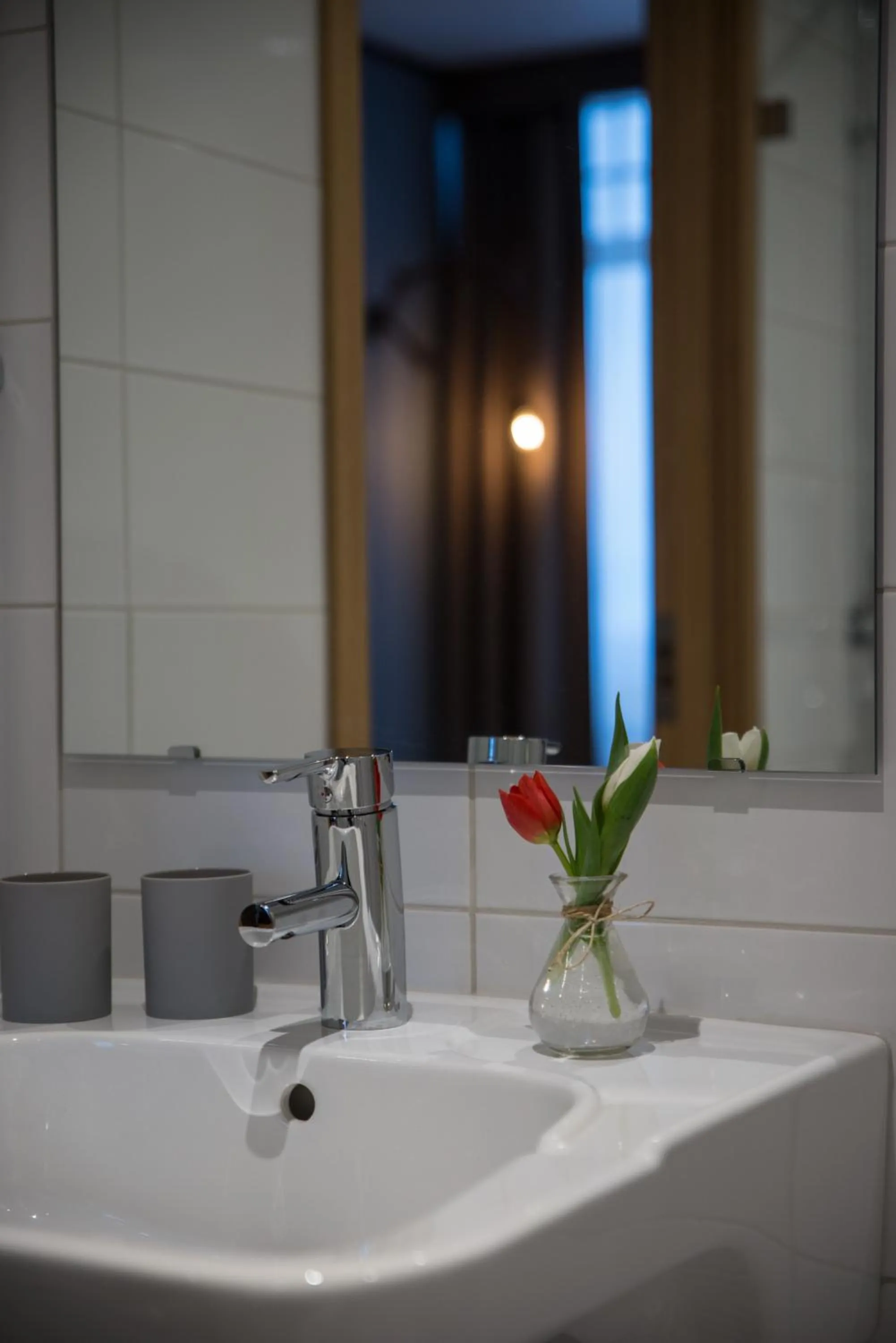 Bathroom in Mountain Lodge