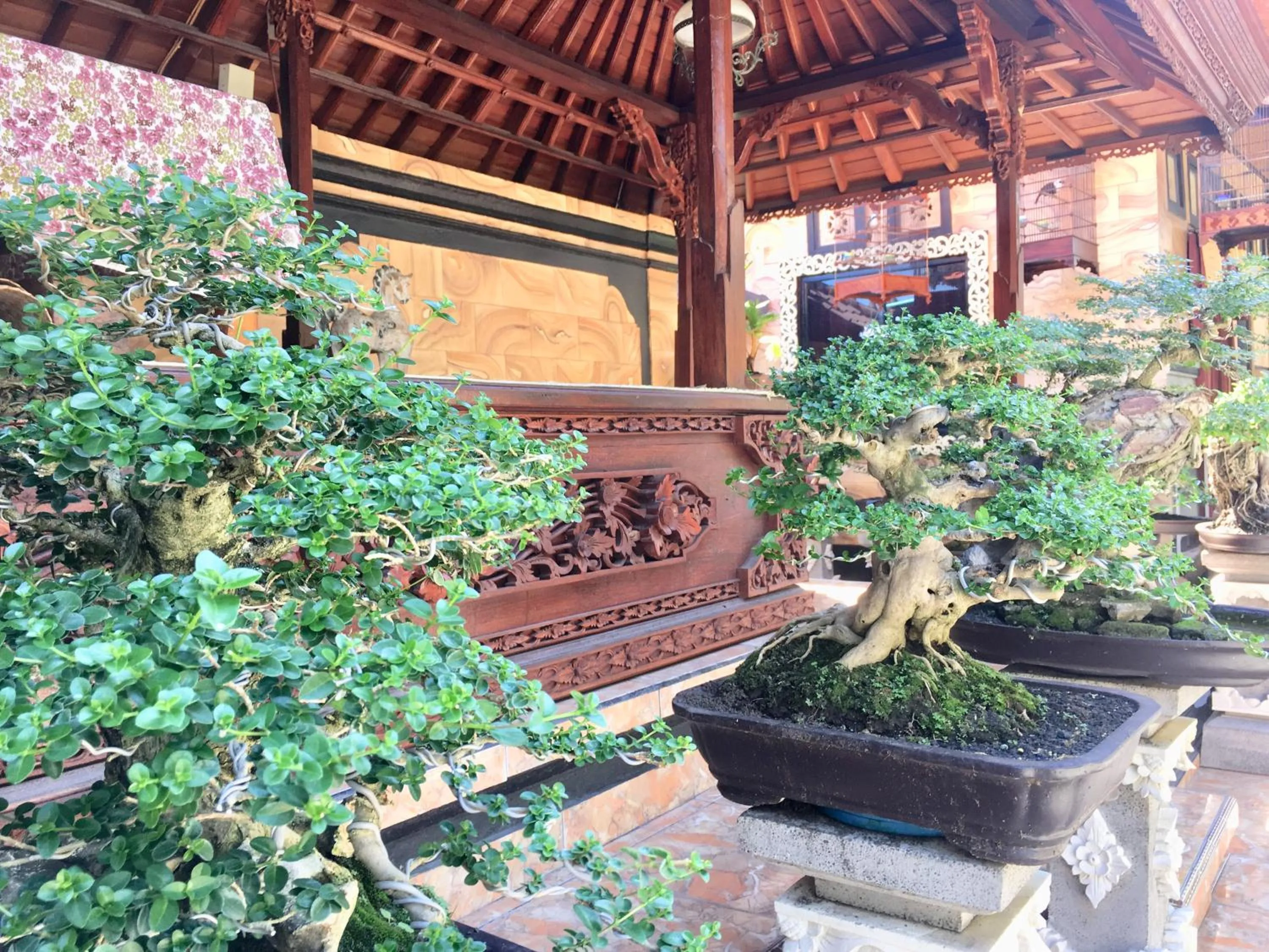 Mikuk Homestay Canggu