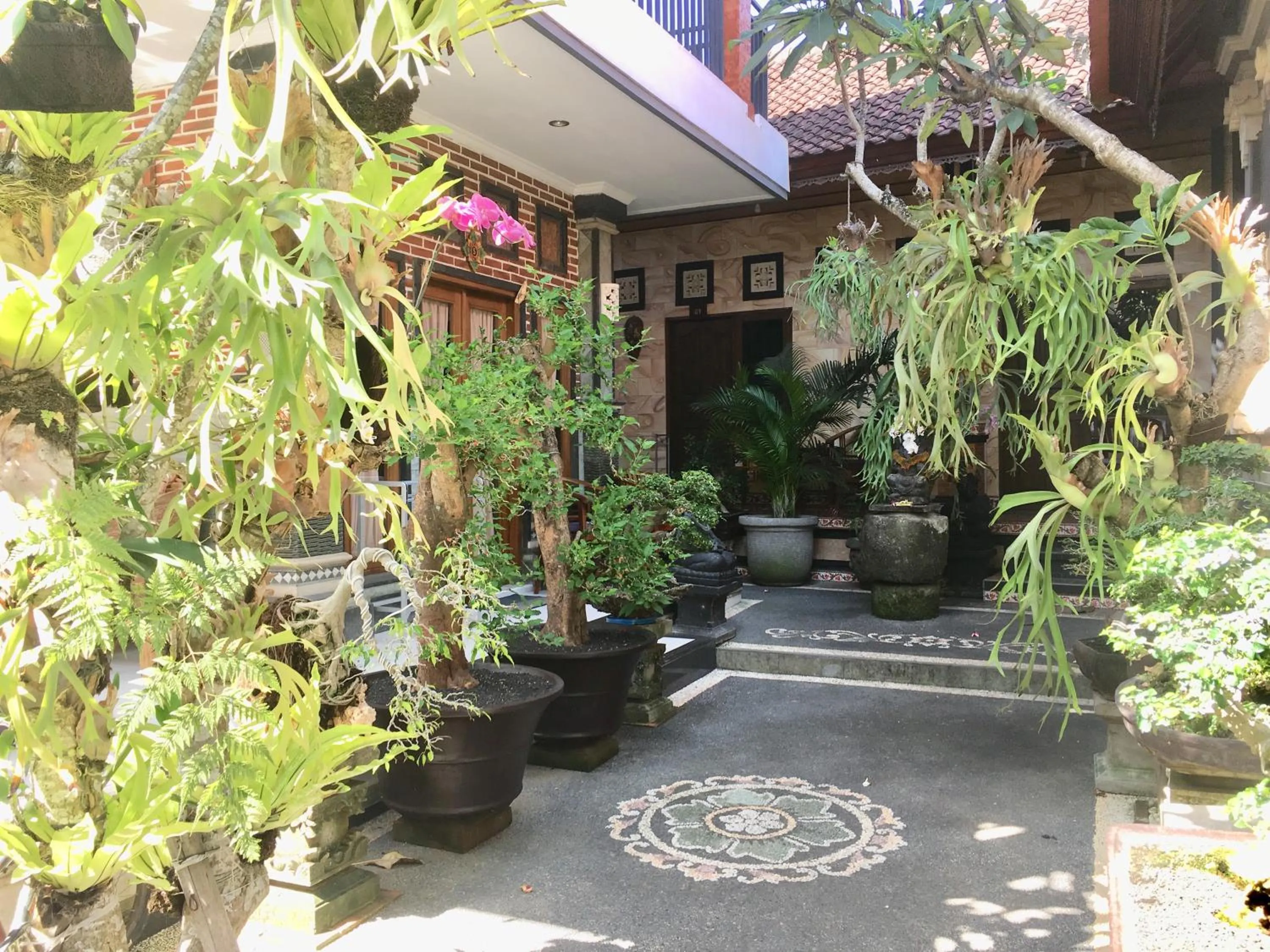 Mikuk Homestay Canggu