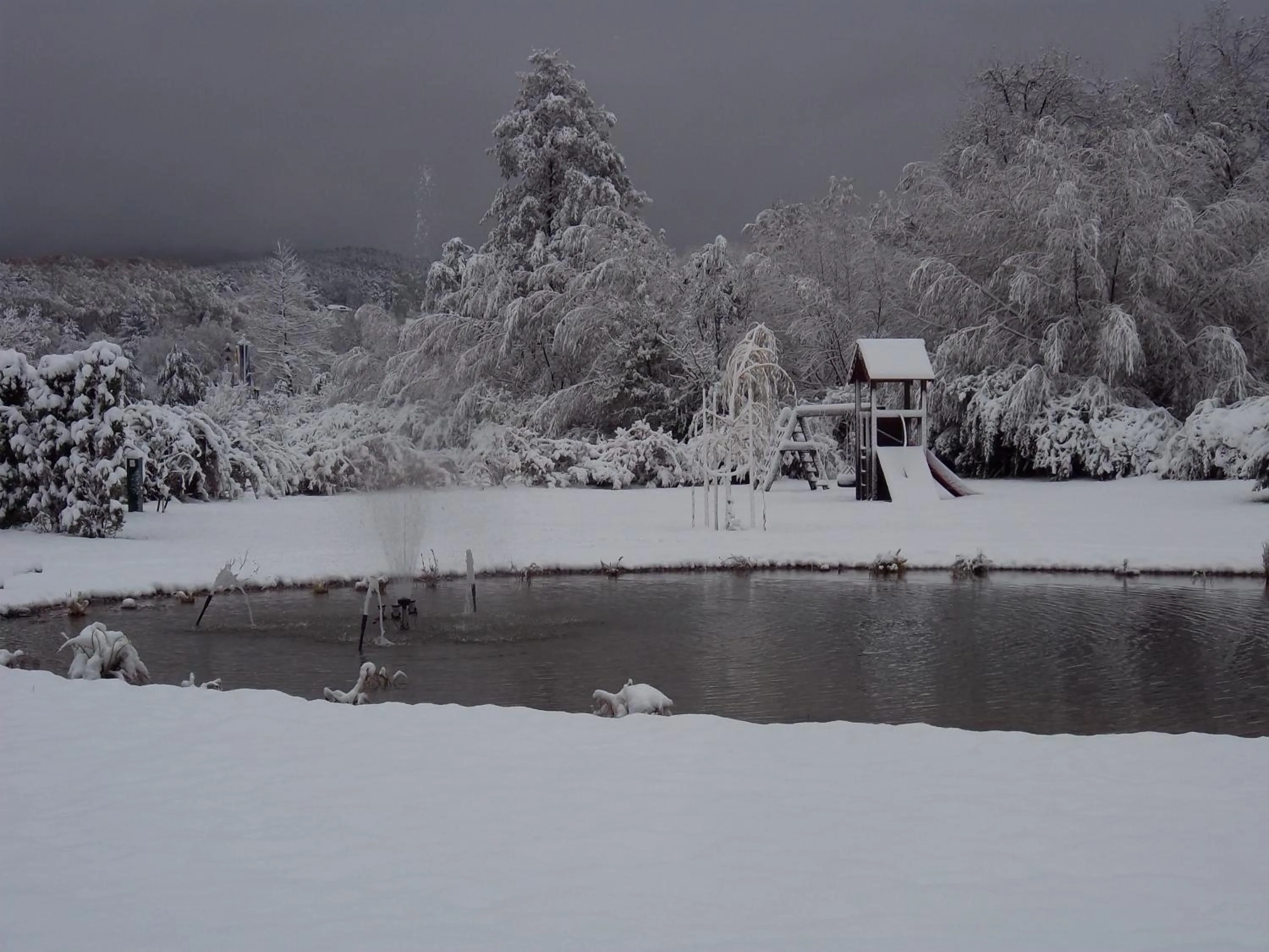 Garden in Grandhotel Niederösterreichischer Hof