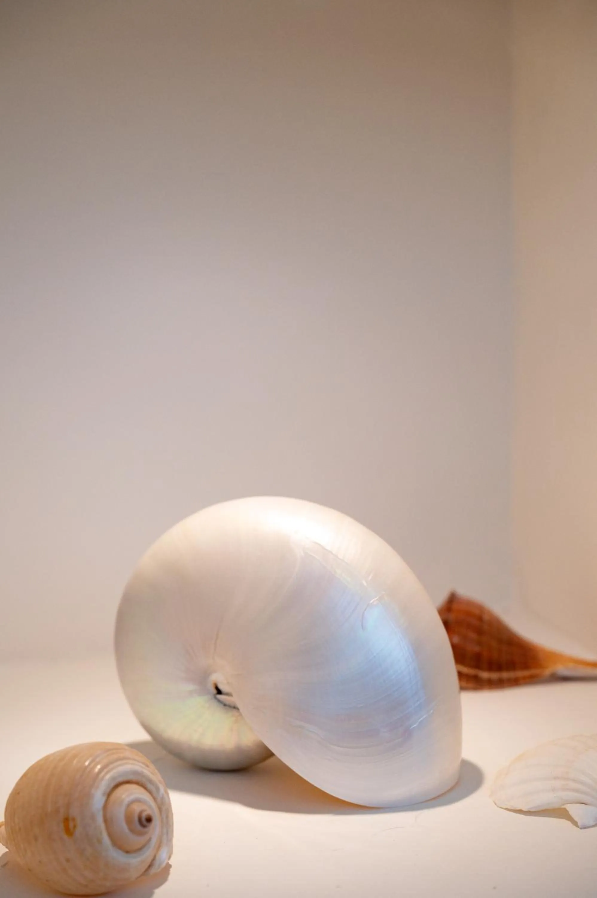 Spa and wellness centre/facilities in Anthea Hotel