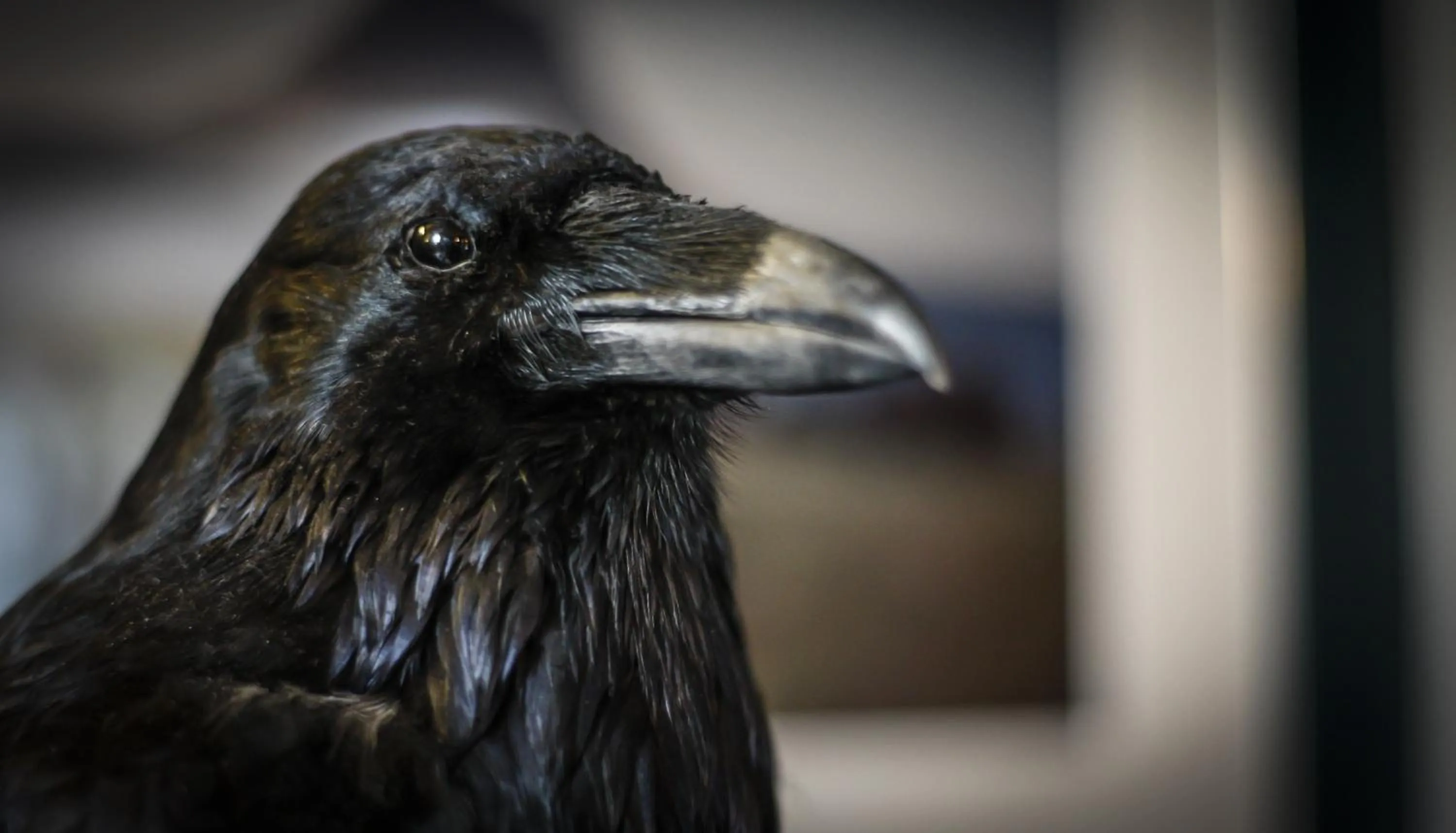 Decorative detail in BG4 Guesthouse