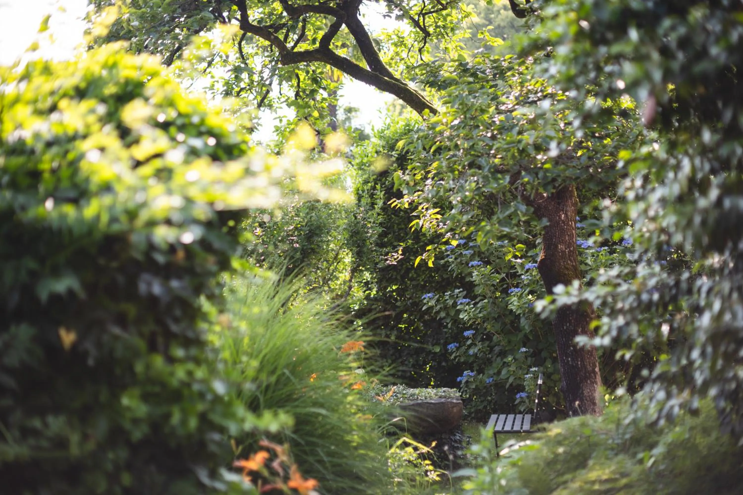 Garden in Charme Hotel Barbatè