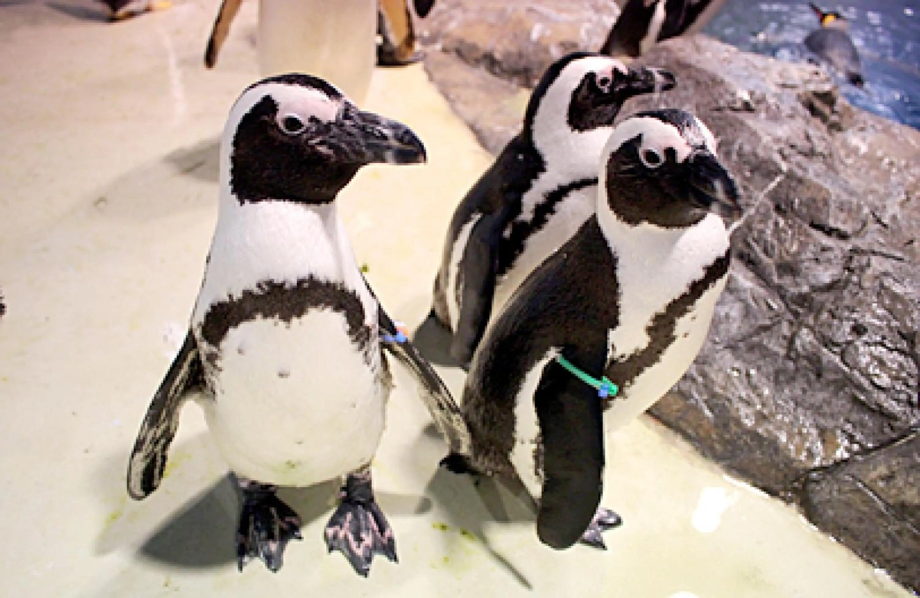 Nearby landmark in Shinagawa Prince Hotel East Tower