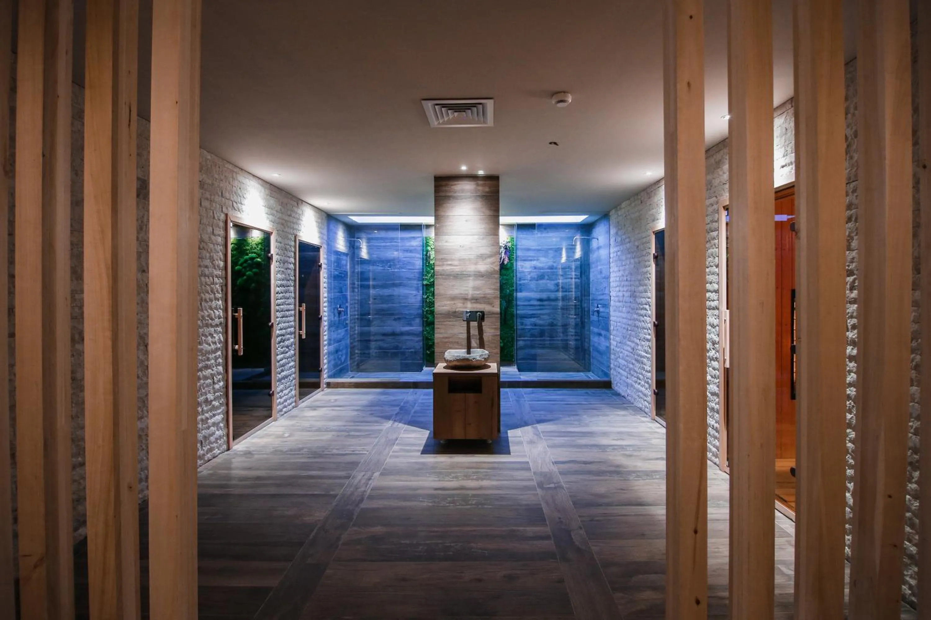 Spa and wellness centre/facilities in Bacolux Afrodita, Herculane