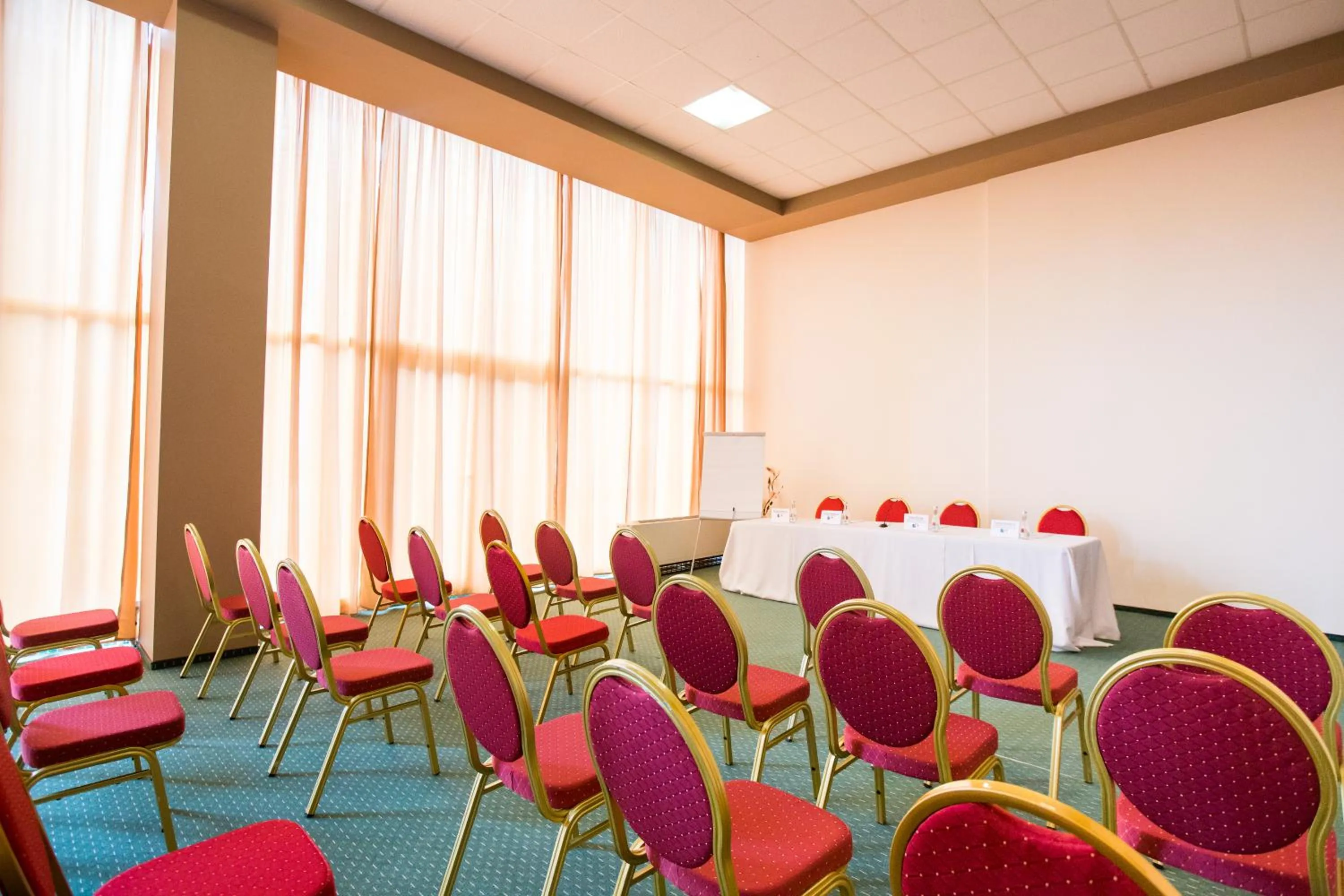 Meeting/conference room in Bacolux Afrodita, Herculane