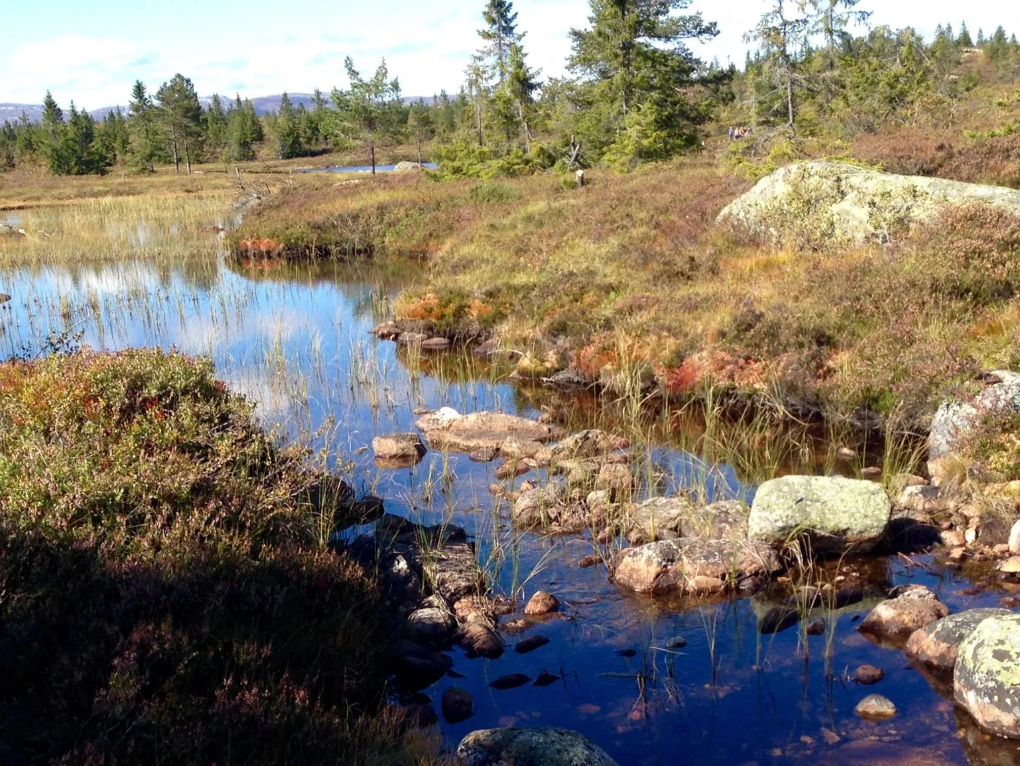Summer in Blefjell Lodge