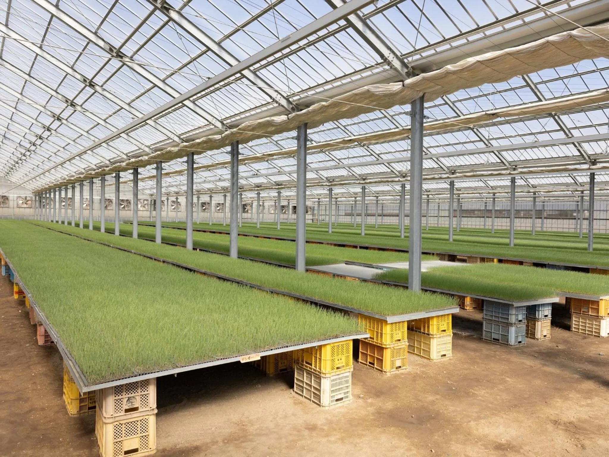 Breakfast in Hotel Taiyo Noen Nibancho