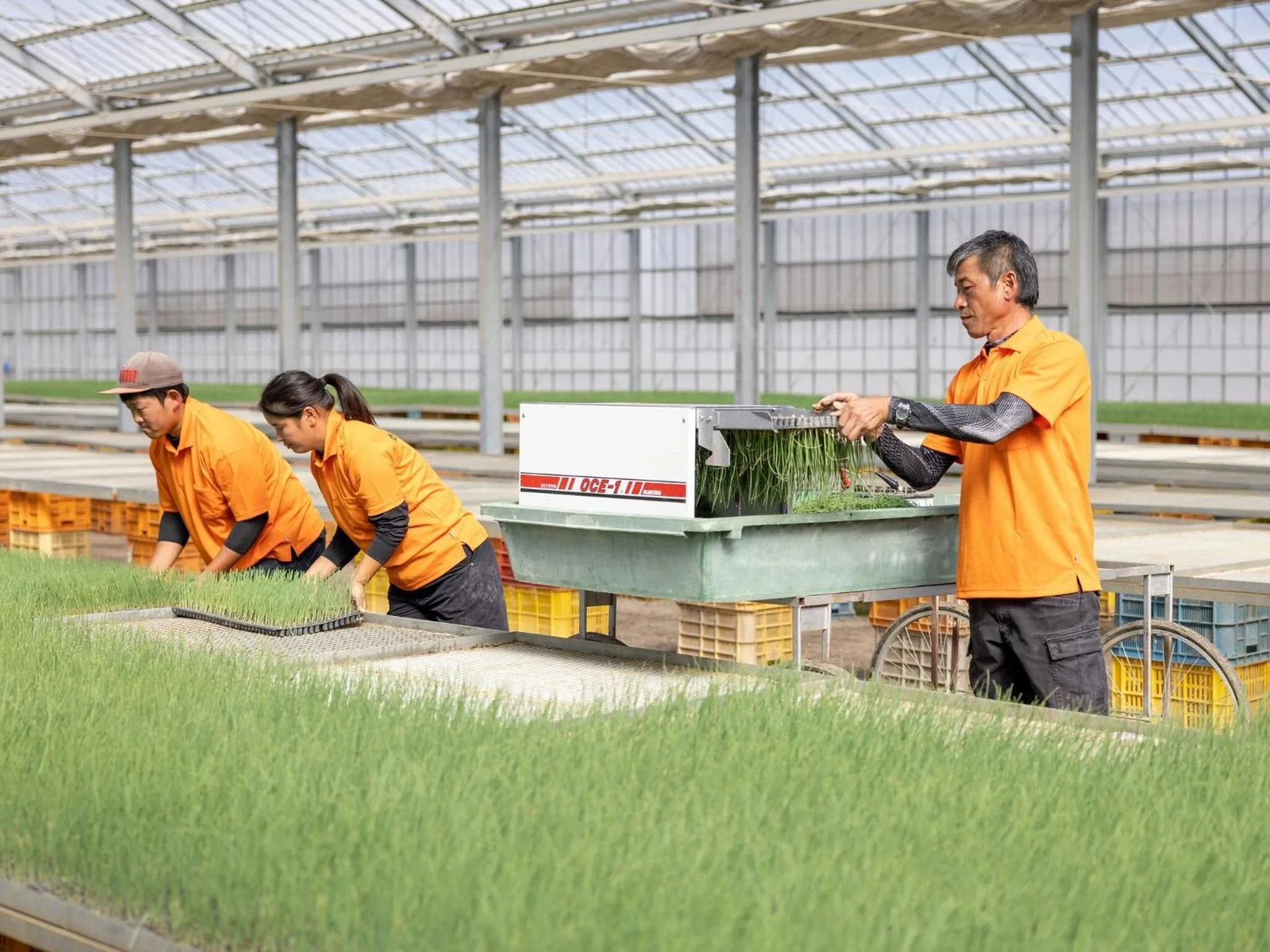 Breakfast in Hotel Taiyo Noen Nibancho