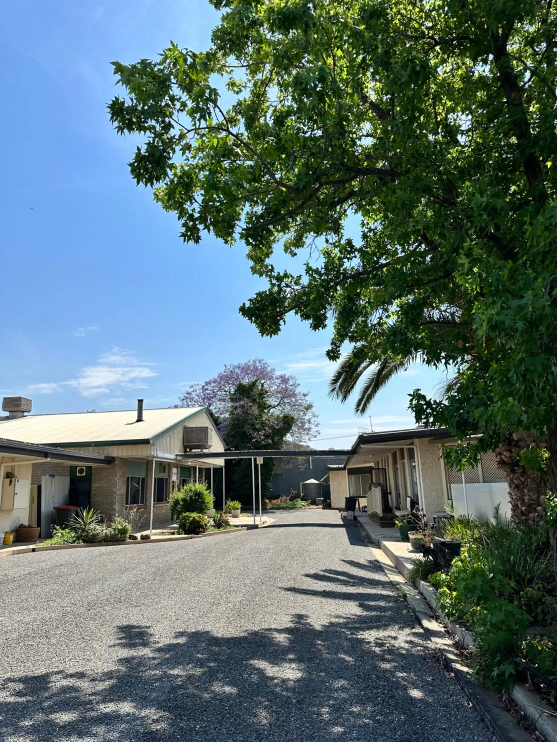 Property building in The Shamrock Hotel Balranald