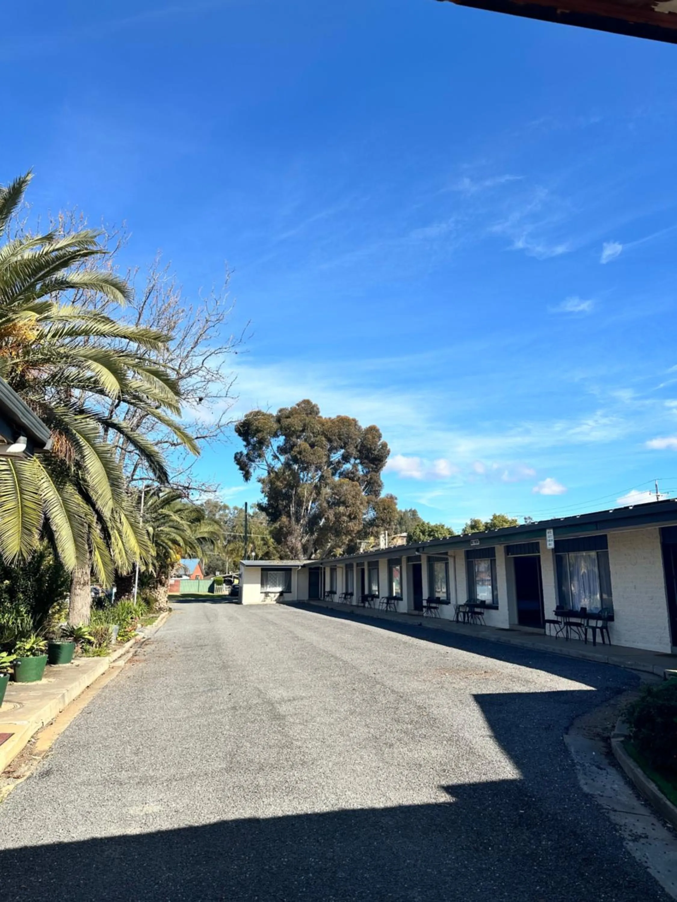 Property building in The Shamrock Hotel Balranald