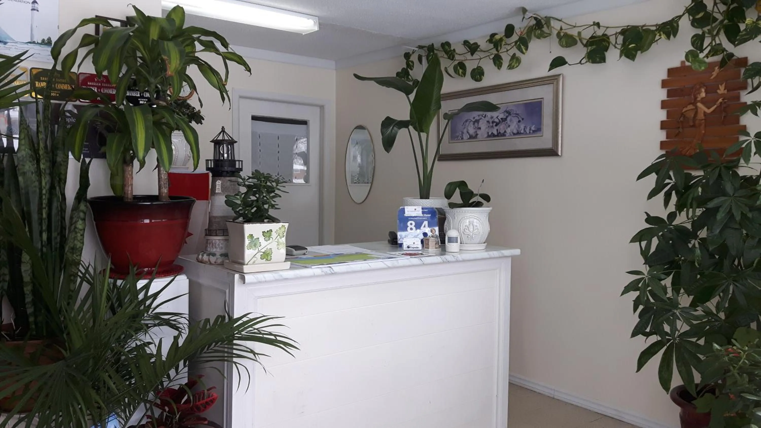 Lobby or reception, Lobby/Reception in The Maplewood Motel