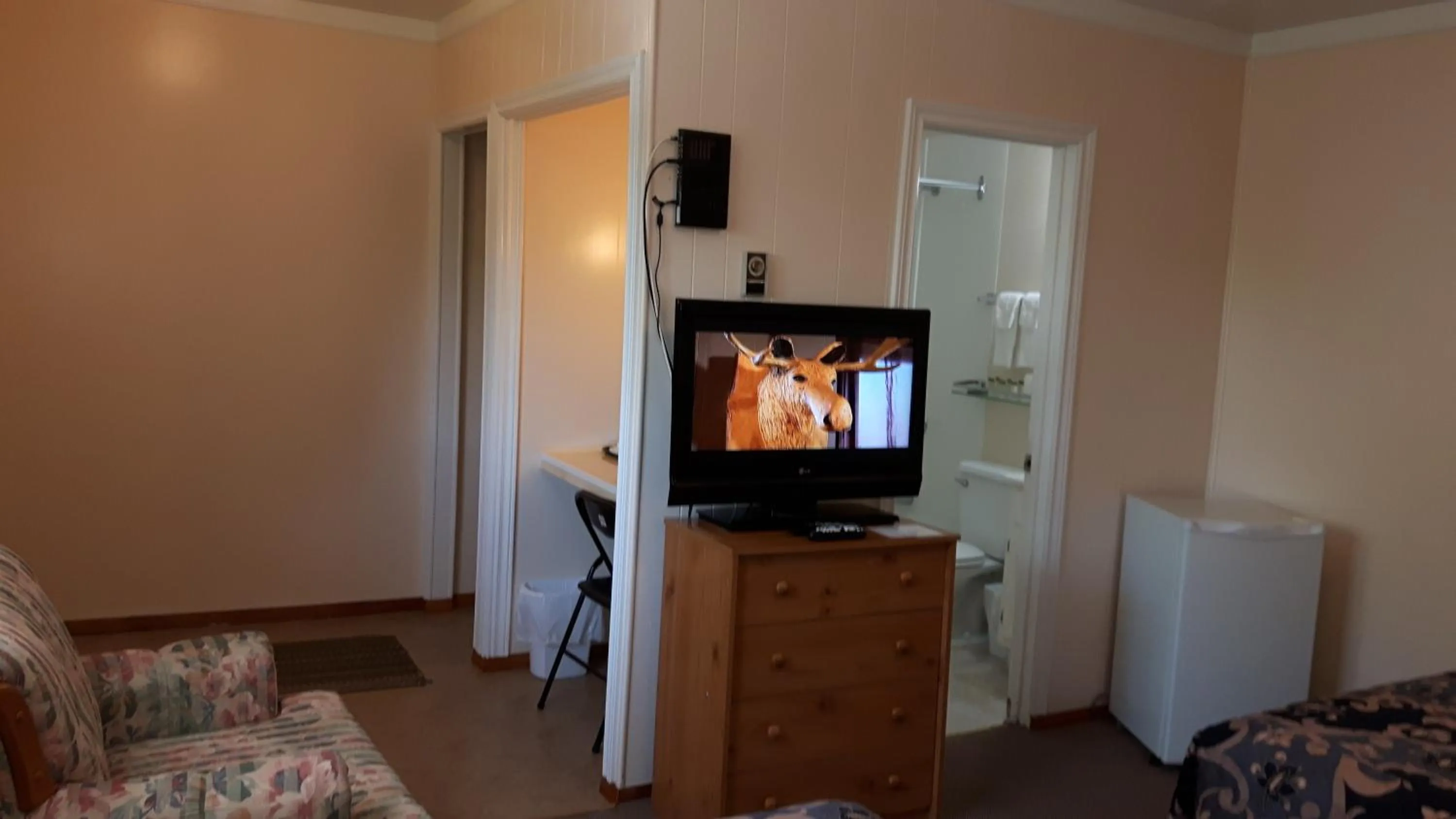 Shower, TV/Entertainment Center in The Maplewood Motel