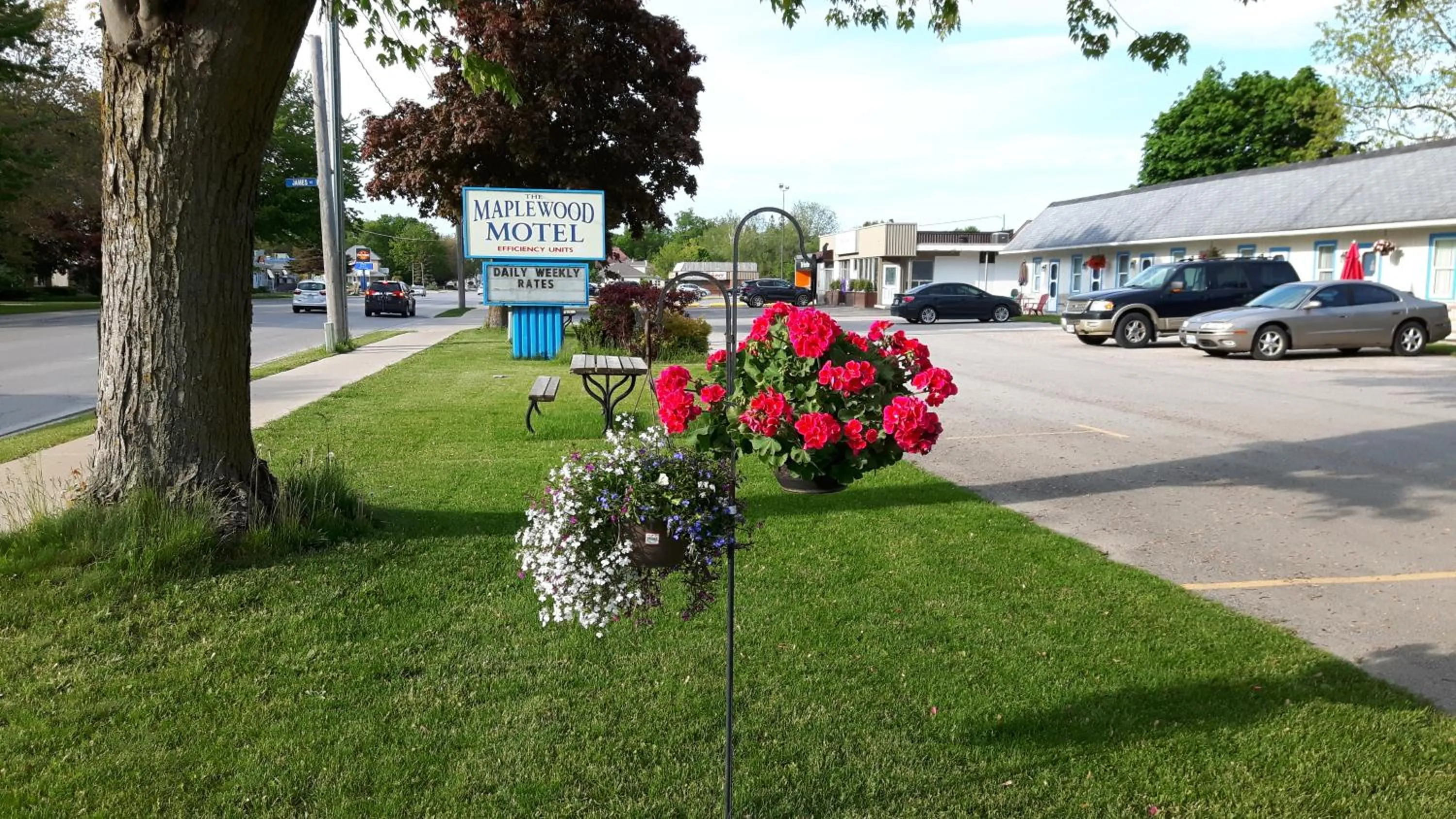 Property logo or sign in The Maplewood Motel
