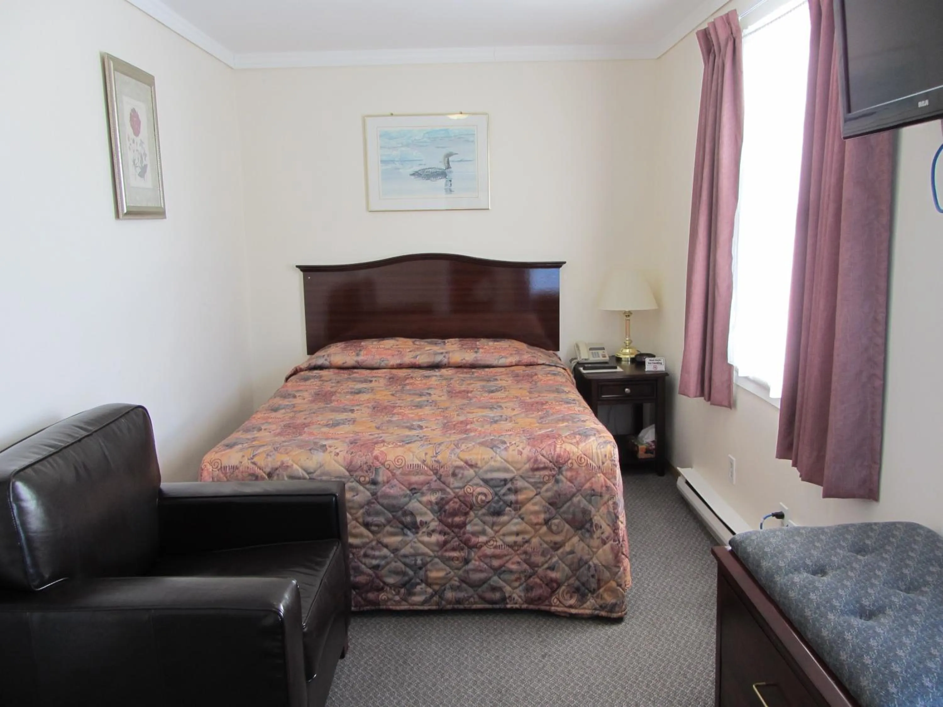 Photo of the whole room in The Maplewood Motel