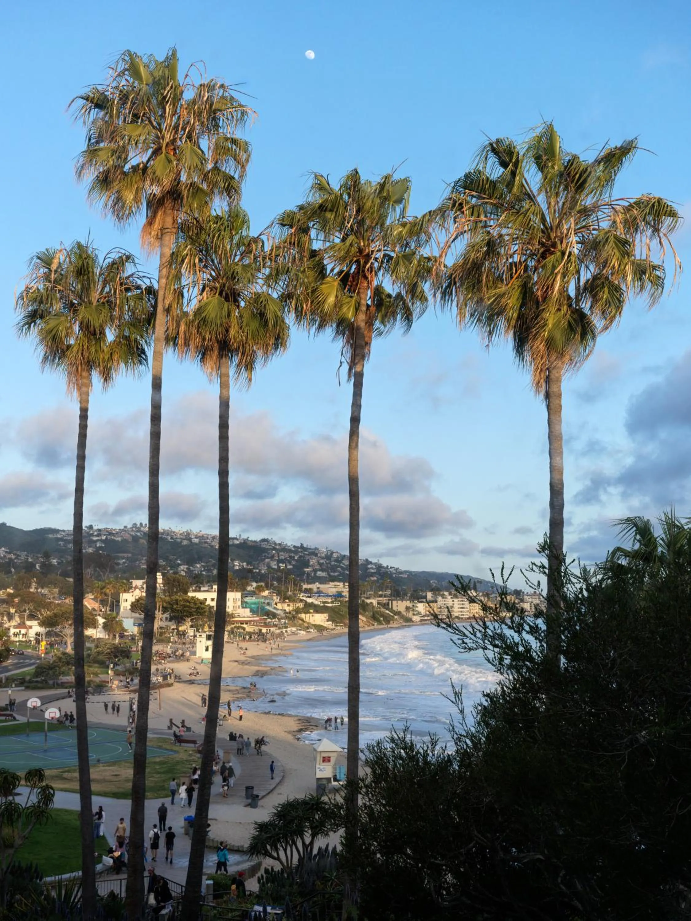 Beach in Casa Loma Beach Hotel