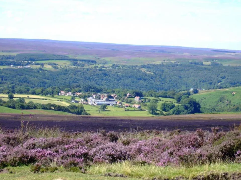 Natural landscape in Mill Croft Bed and Breakfast
