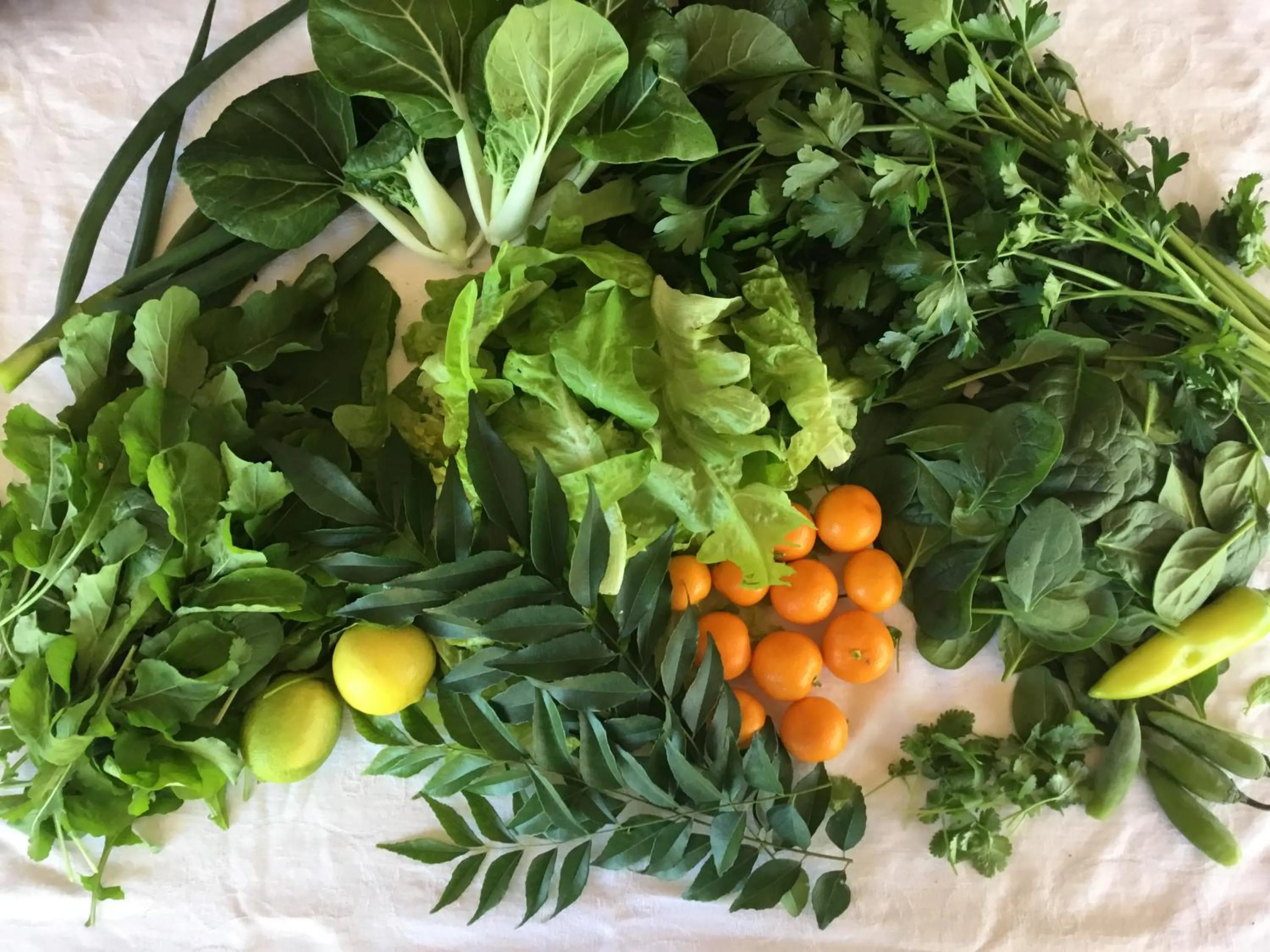 Food and drinks in The Retreat at Froog Moore Park