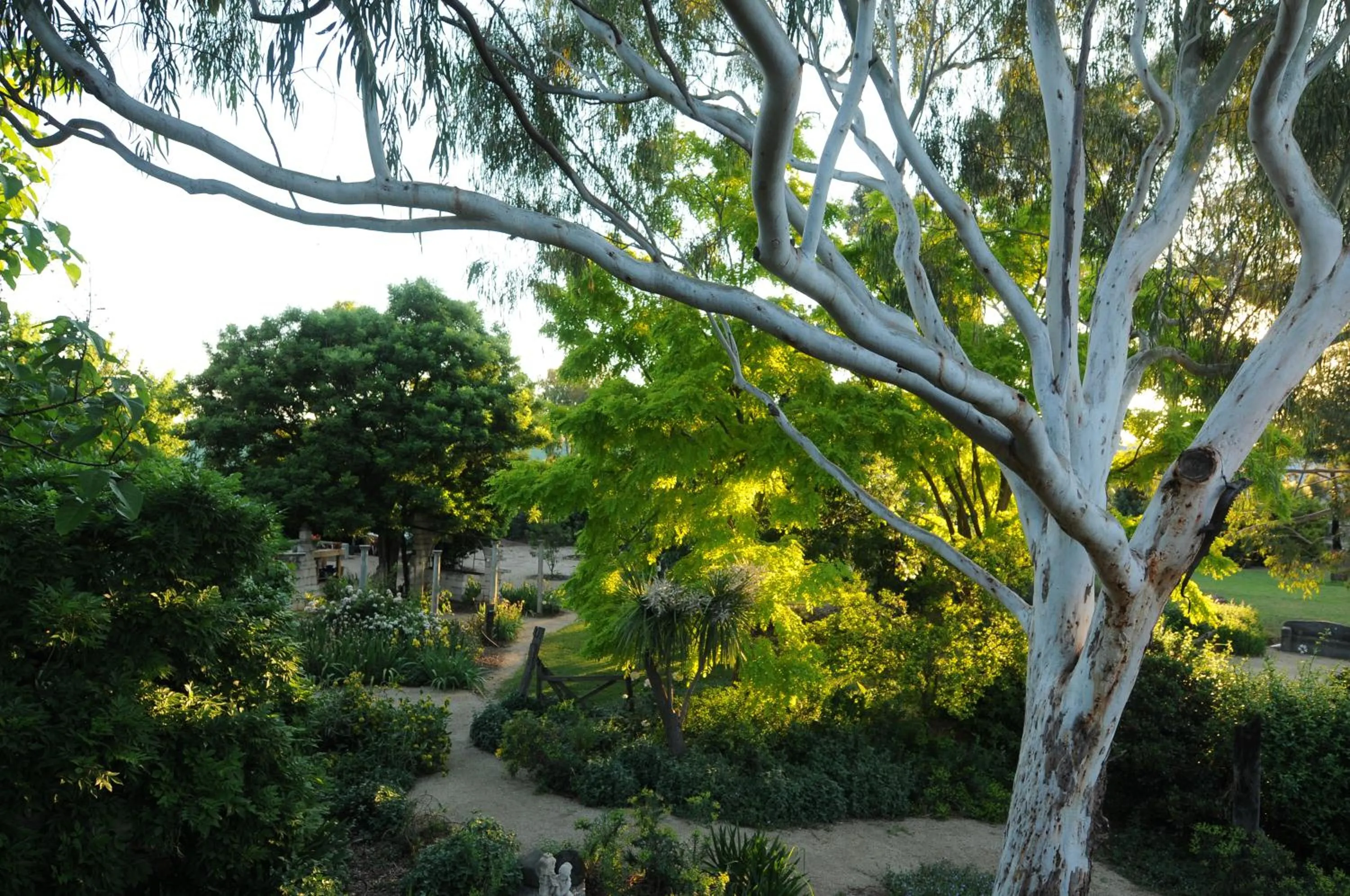 Garden in The Retreat at Froog Moore Park