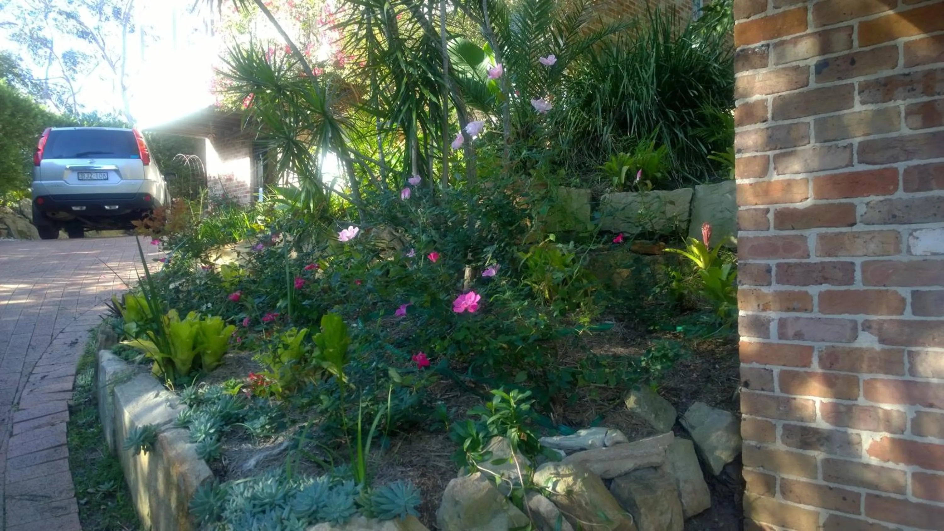 Garden in Linley House