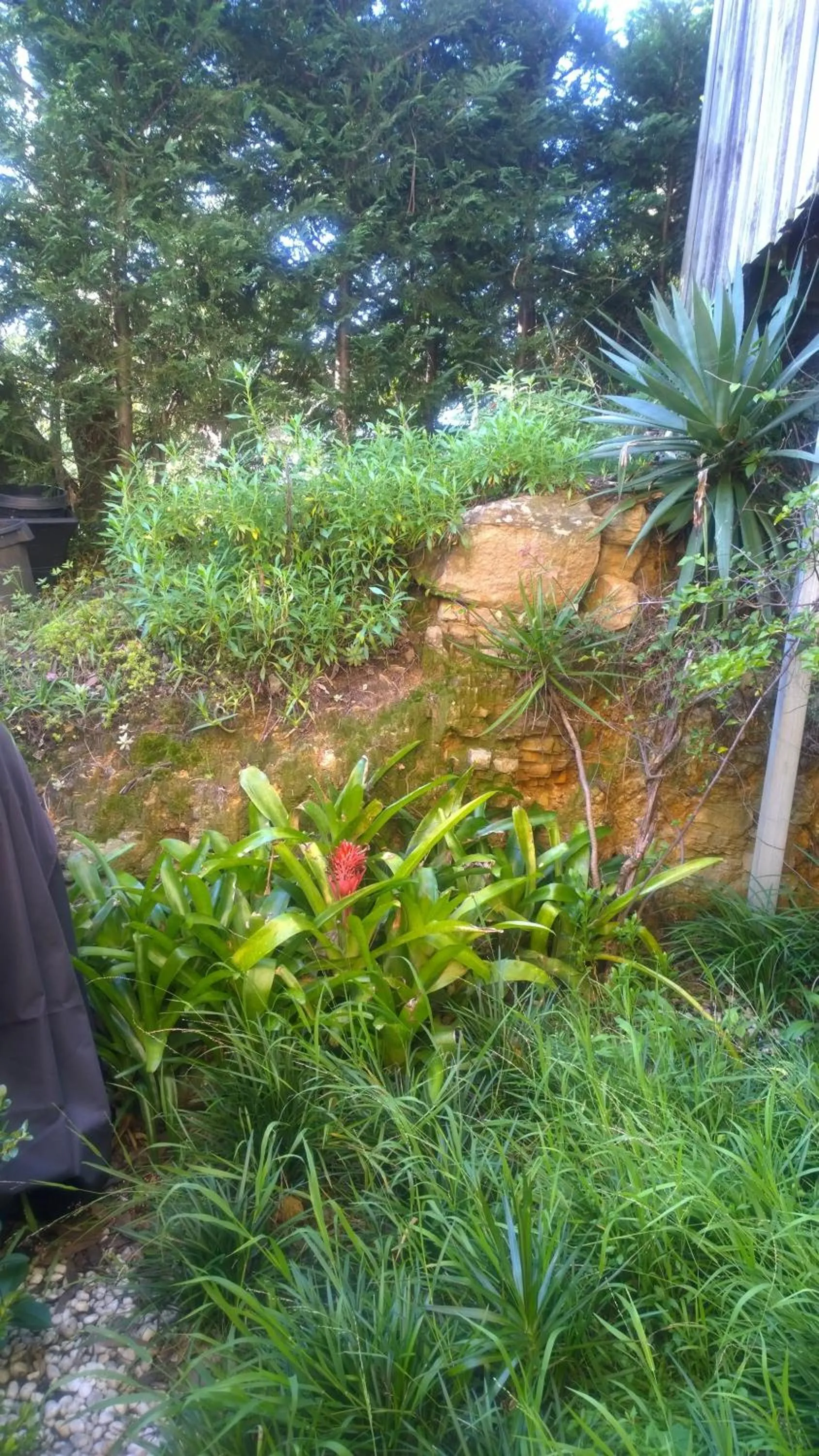 Other in Linley House