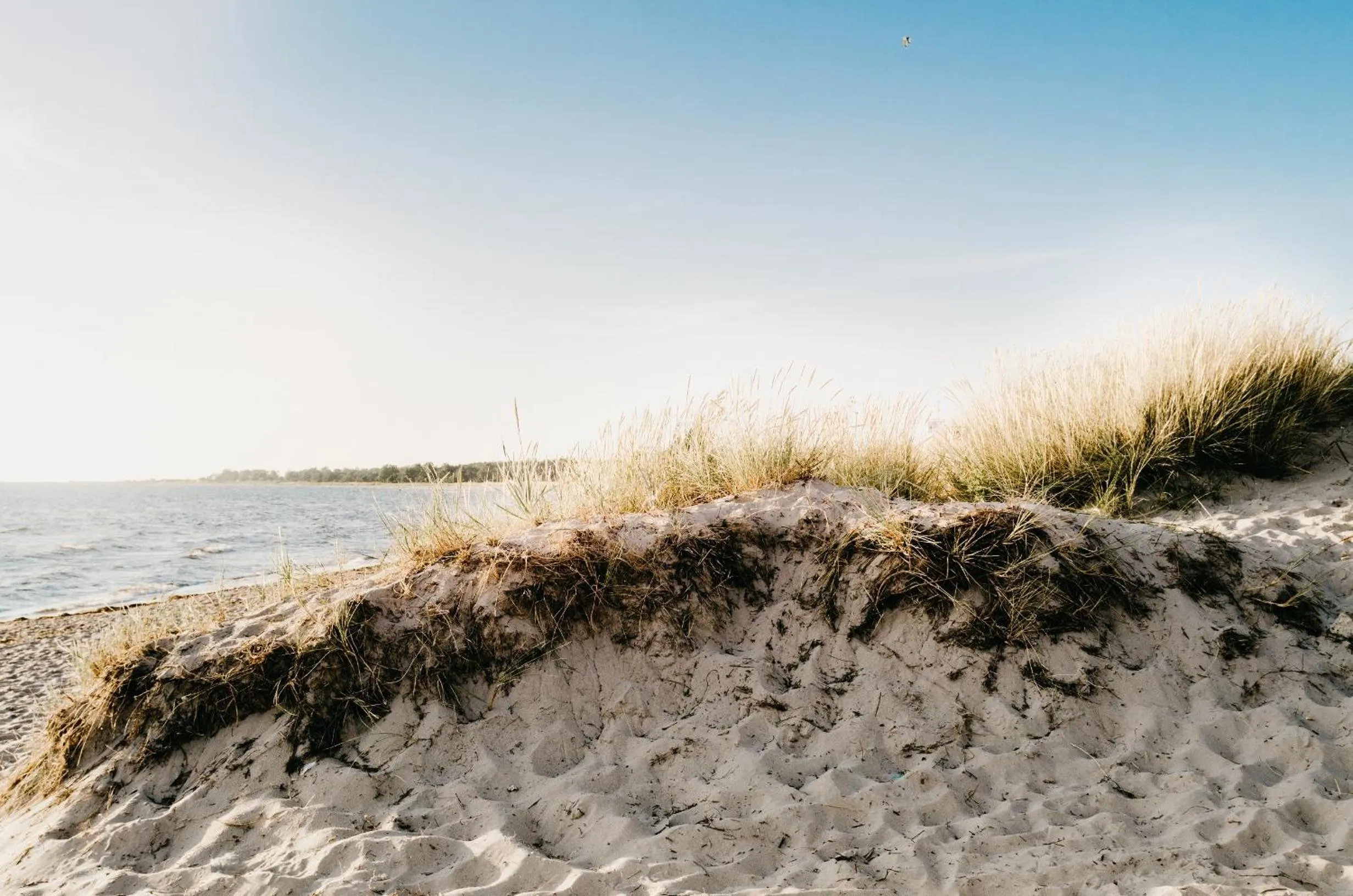 Beach in Hotel Toftagården