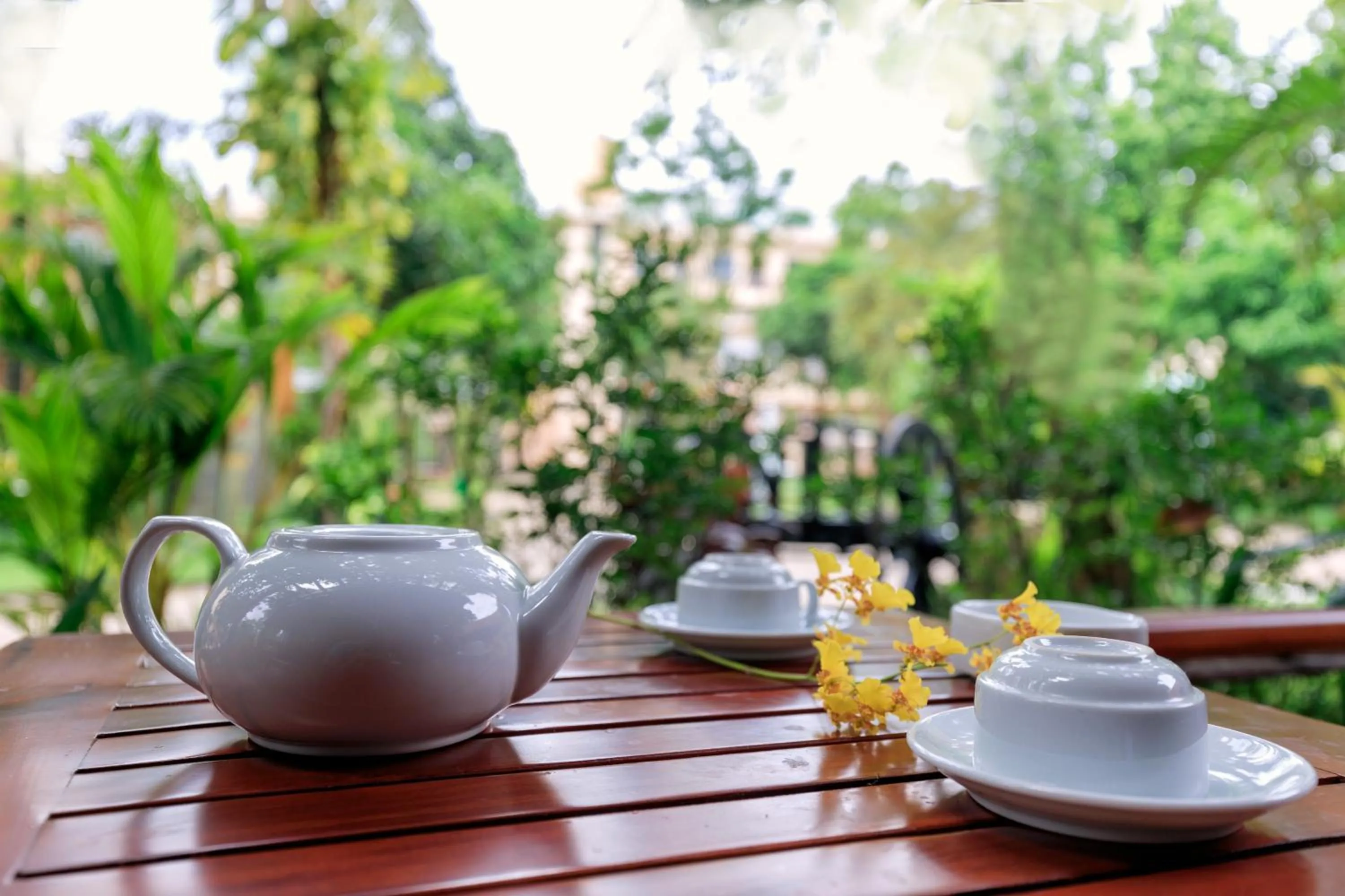 Natural landscape in Kim Hoa Resort